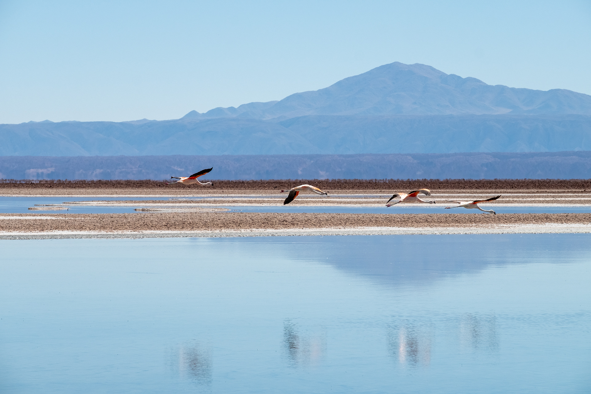 Laguna Chaxa
