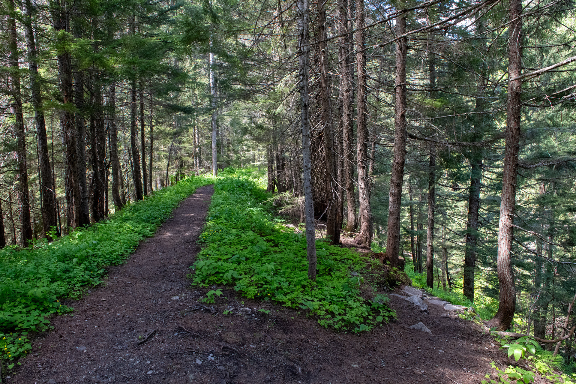 Bucle Brook - bucle para bajar en altura al tren