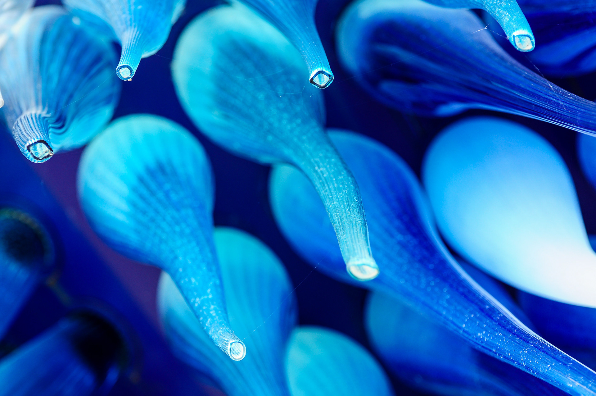 Murano Blue Details - Murano Blue Details Sculpture located in the middle of Murano's Downtown, close to Venice, Venice province, Italy