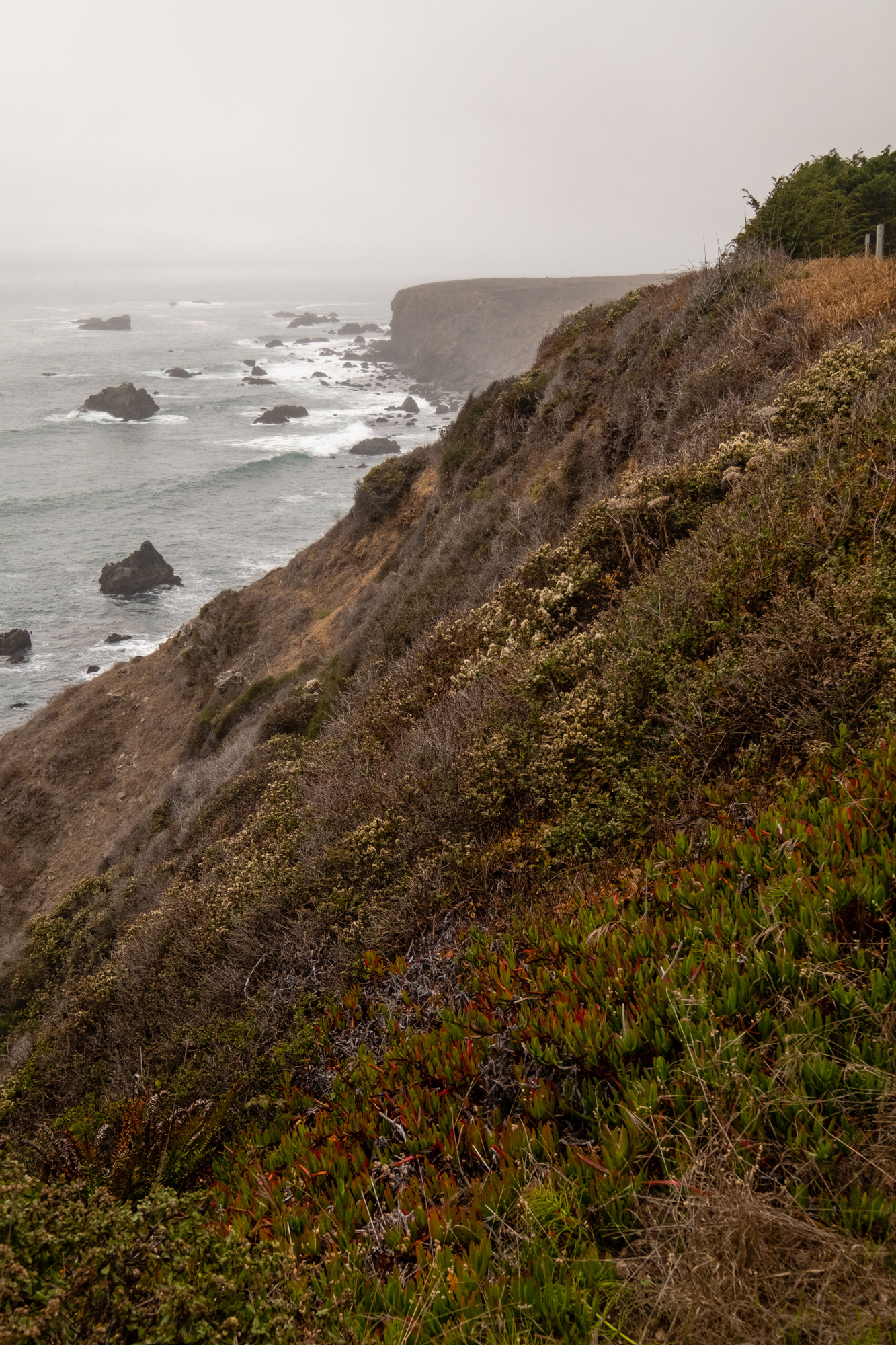Costa de California, cerca de Mendocino