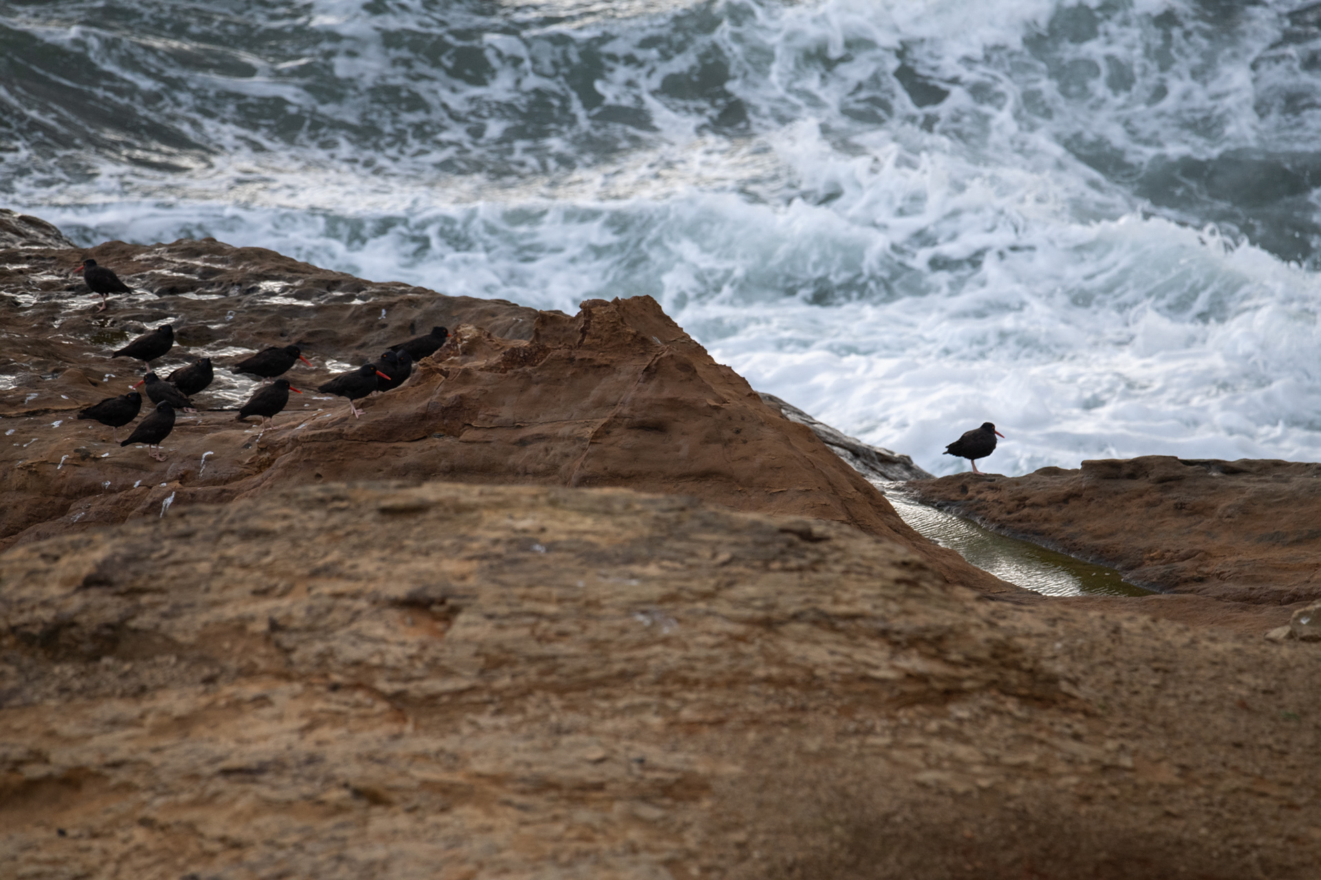 Área natural estatal Devils Punch Bowl, OR