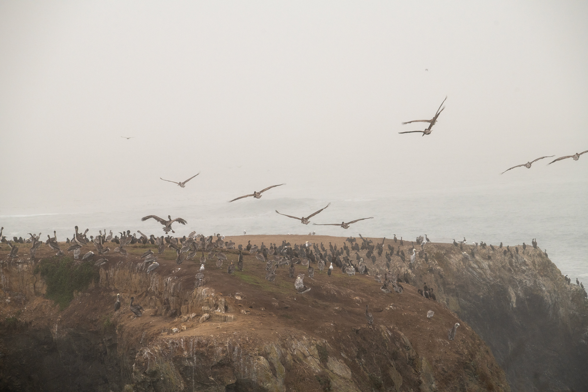 Costa de California, cerca de Mendocino