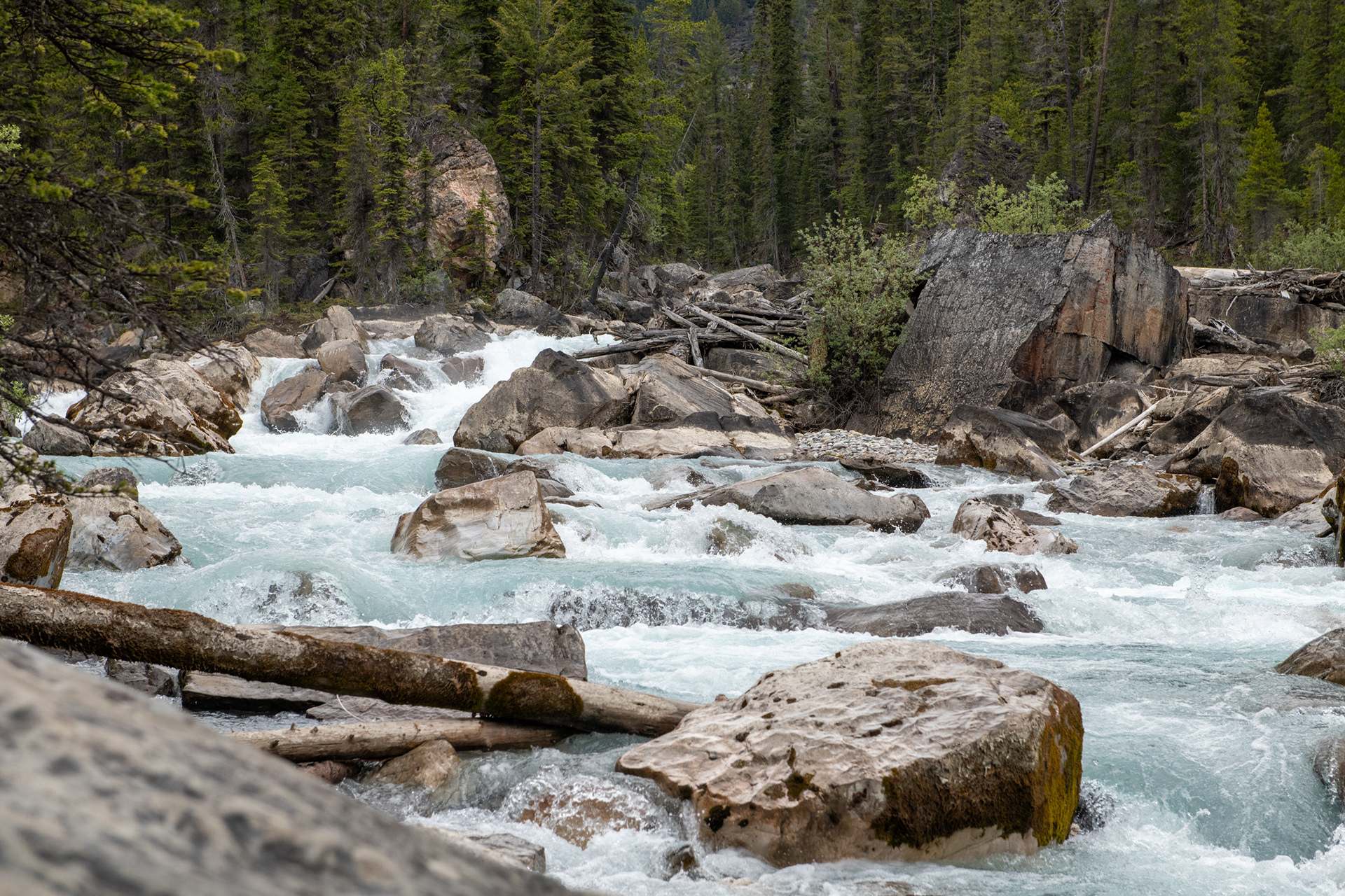 Ríos Yoho y Kicking Horse