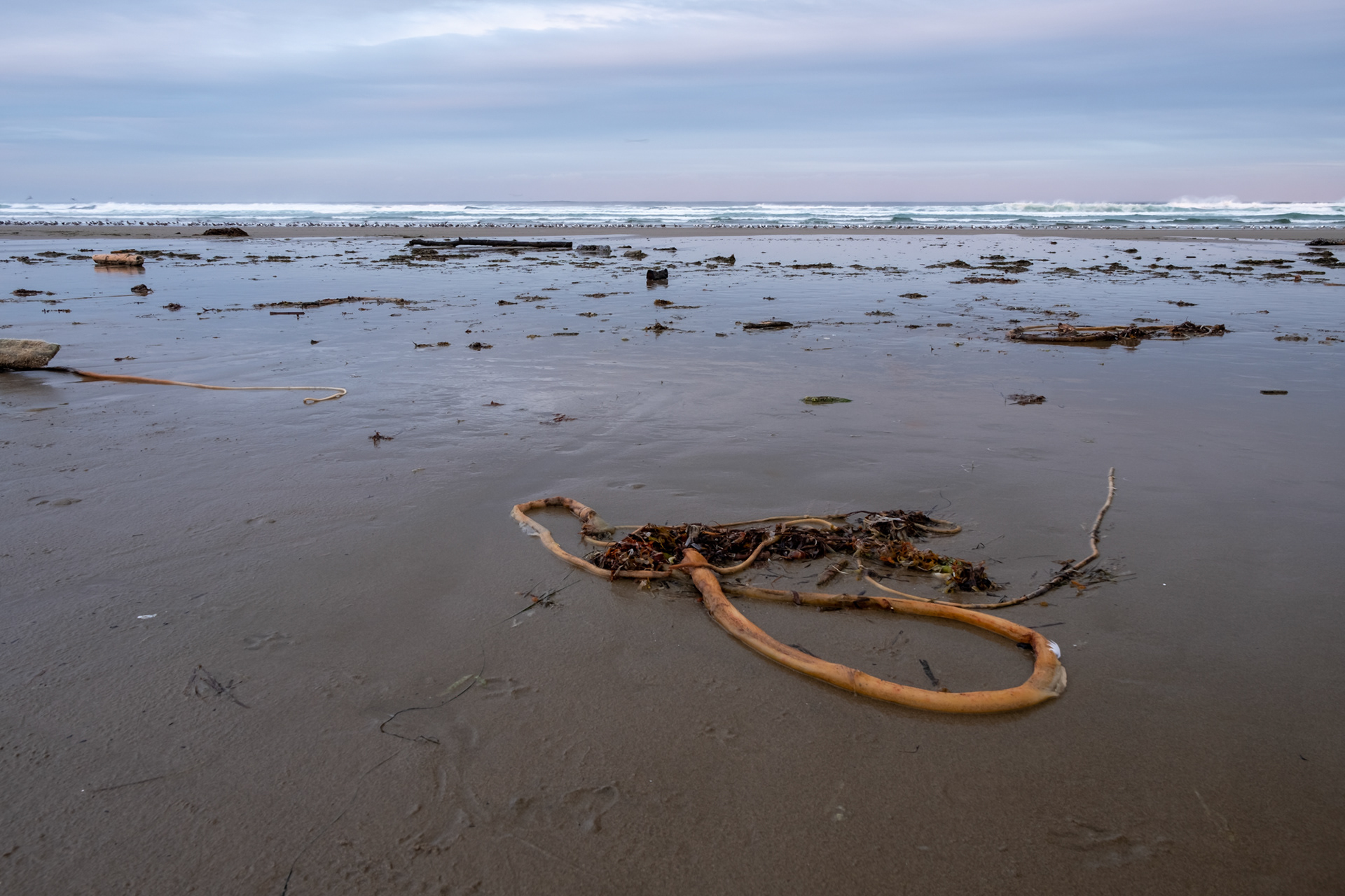Sunset Beach, Manzanita OR