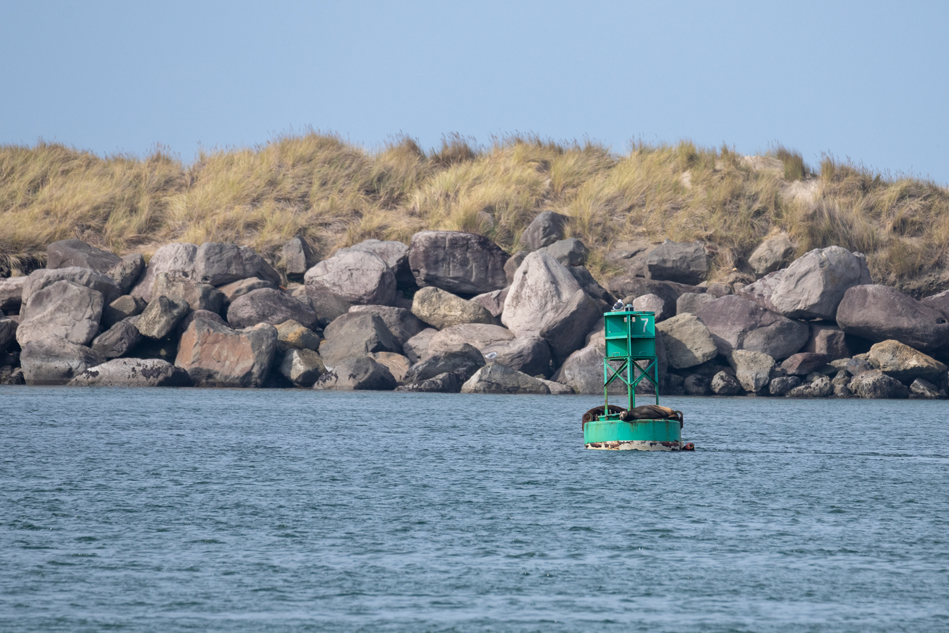 Bahía de Yaquina, Newport, OR