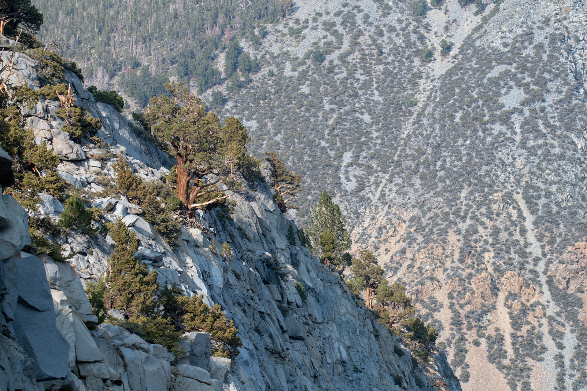 Yosemite - Tioga Pass