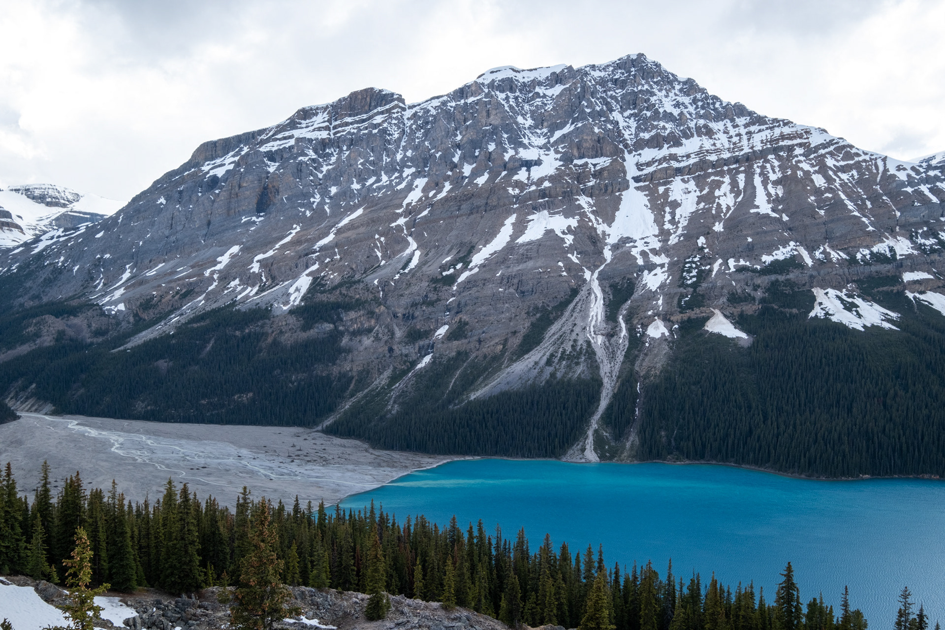 Lago Peyto