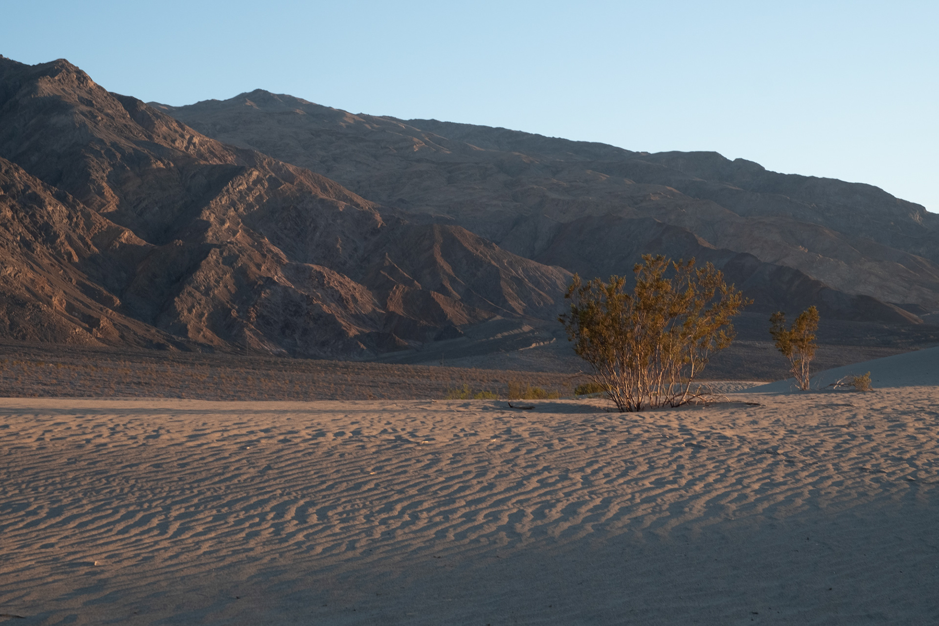 Death Valley - Mesquite Flat Sand Dunes