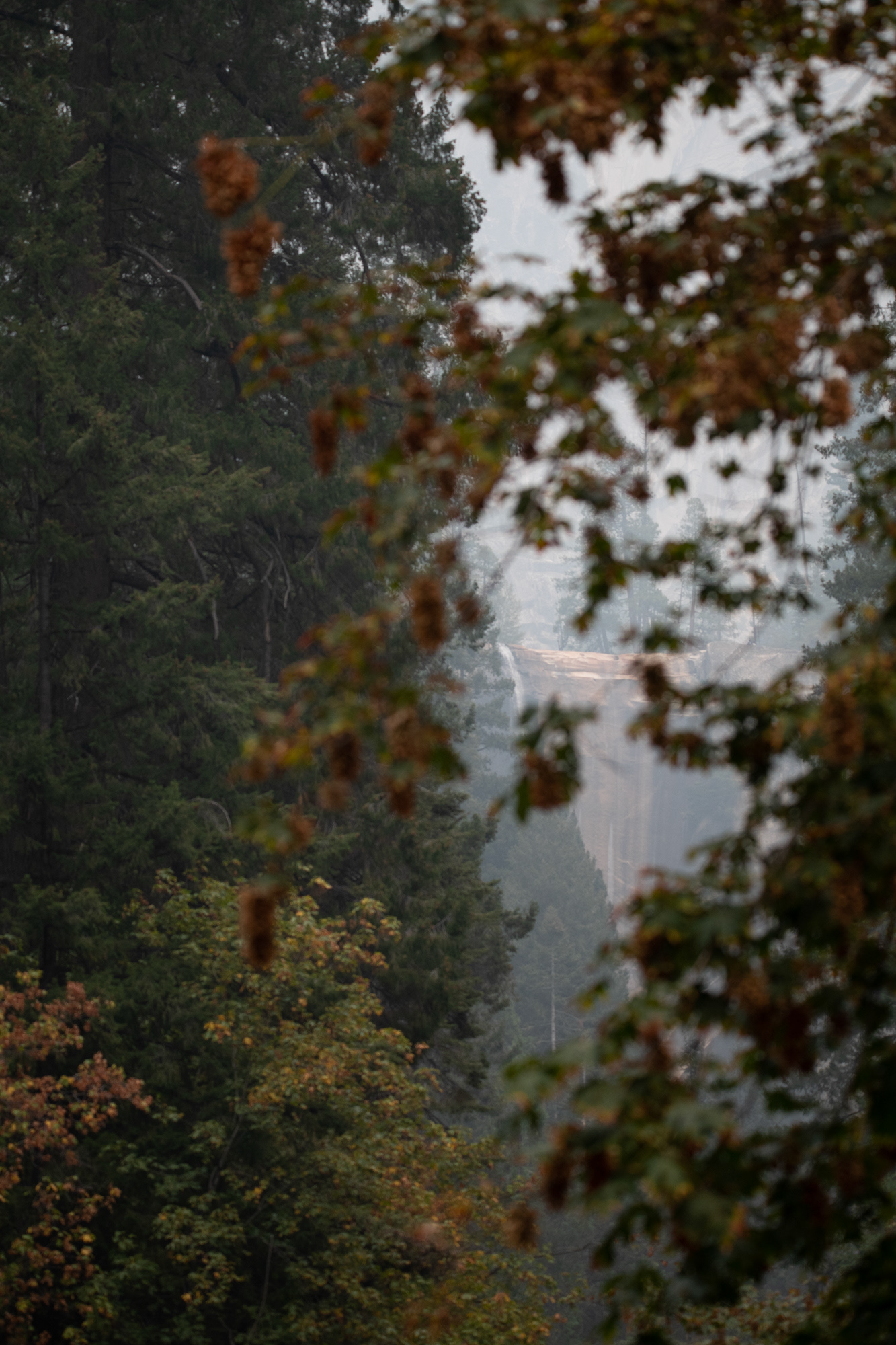 Yosemite - cascada Vernal