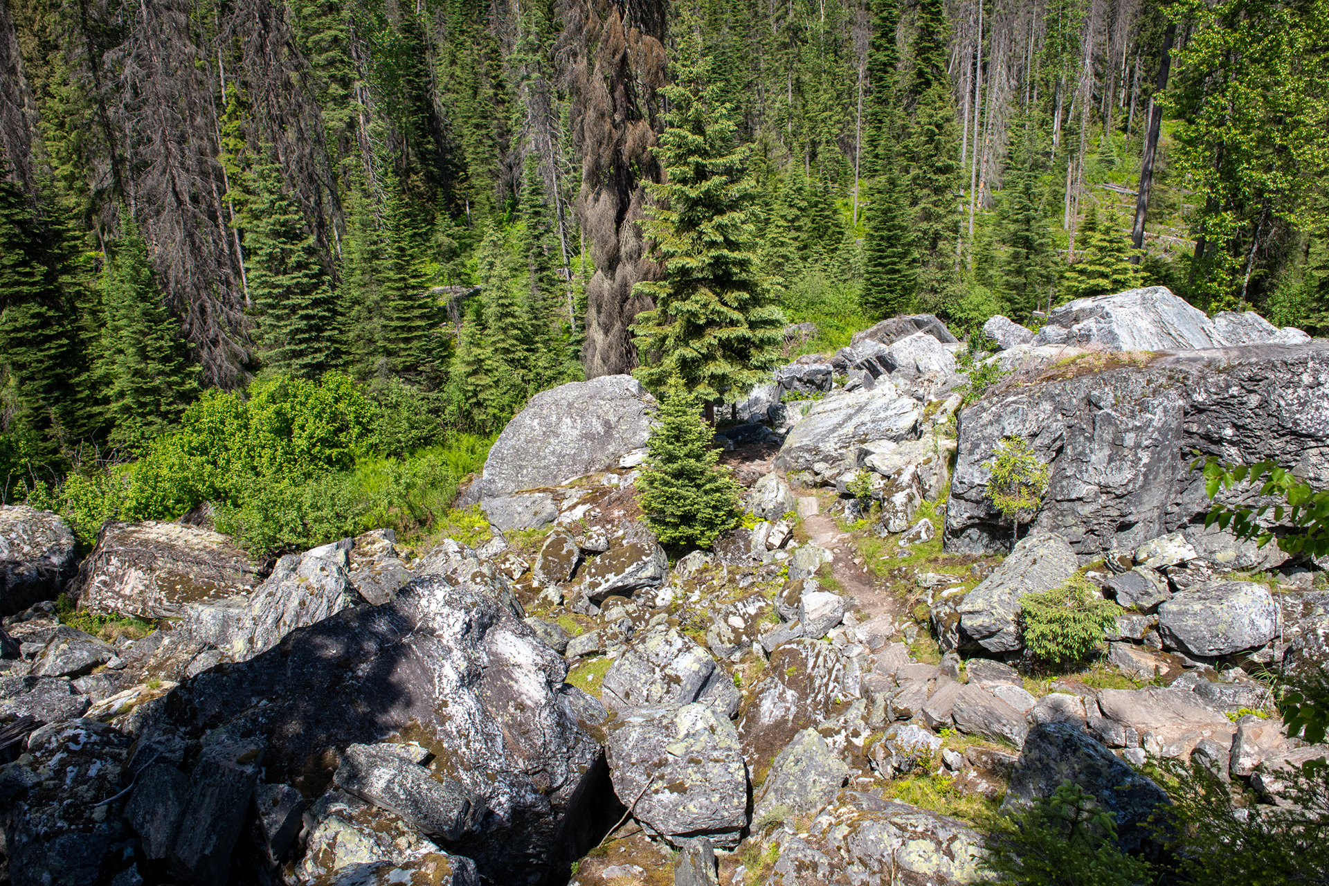Glacier Nat. Park - "jardín de piedras" (rockgarden)