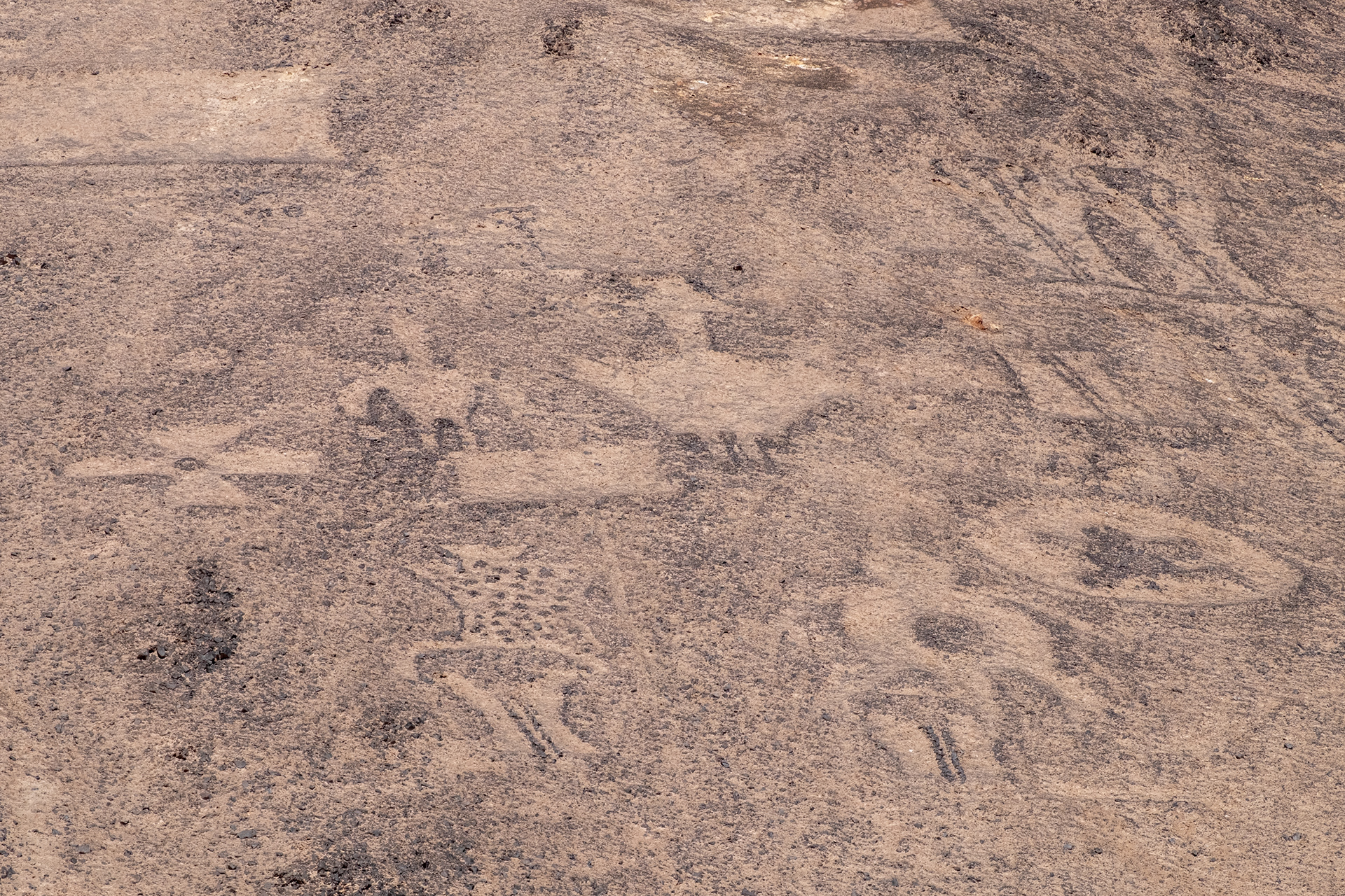 Geoglifos de Pintados