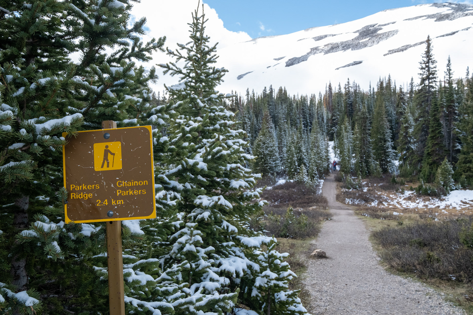 Nevó durante la noche