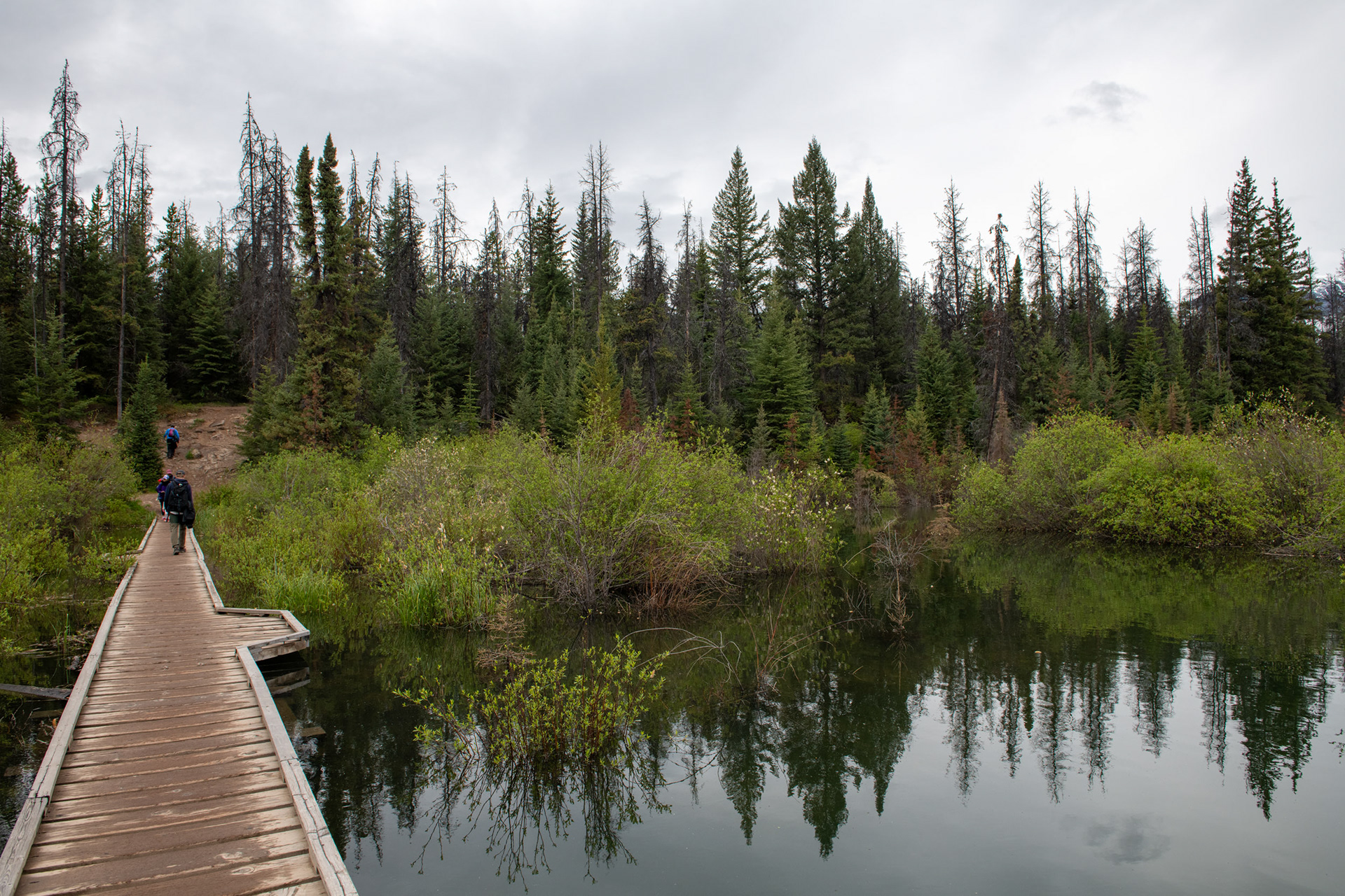 Valle de los 5 lagos - Jasper