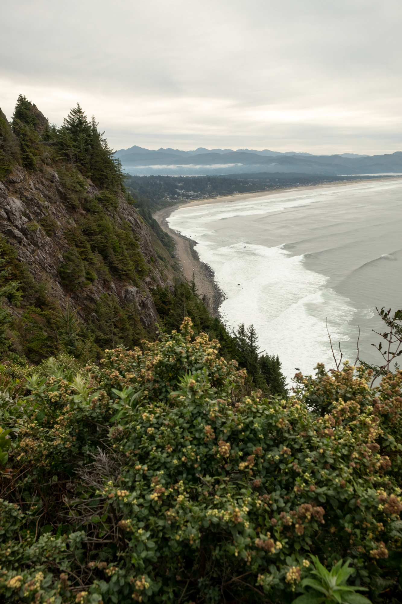 Oswald West State Park