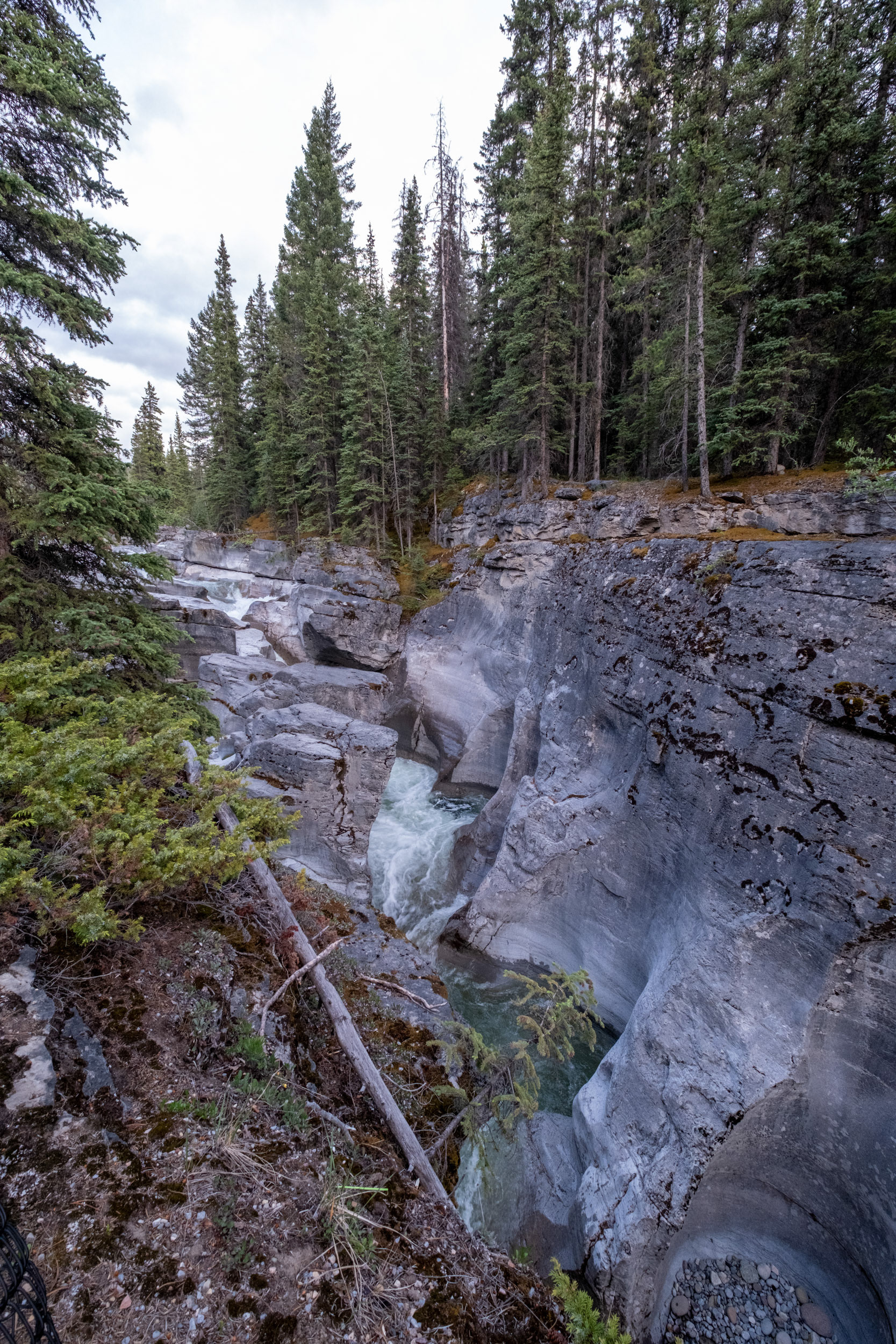 Cañón Maligne (Maligne canyon)
