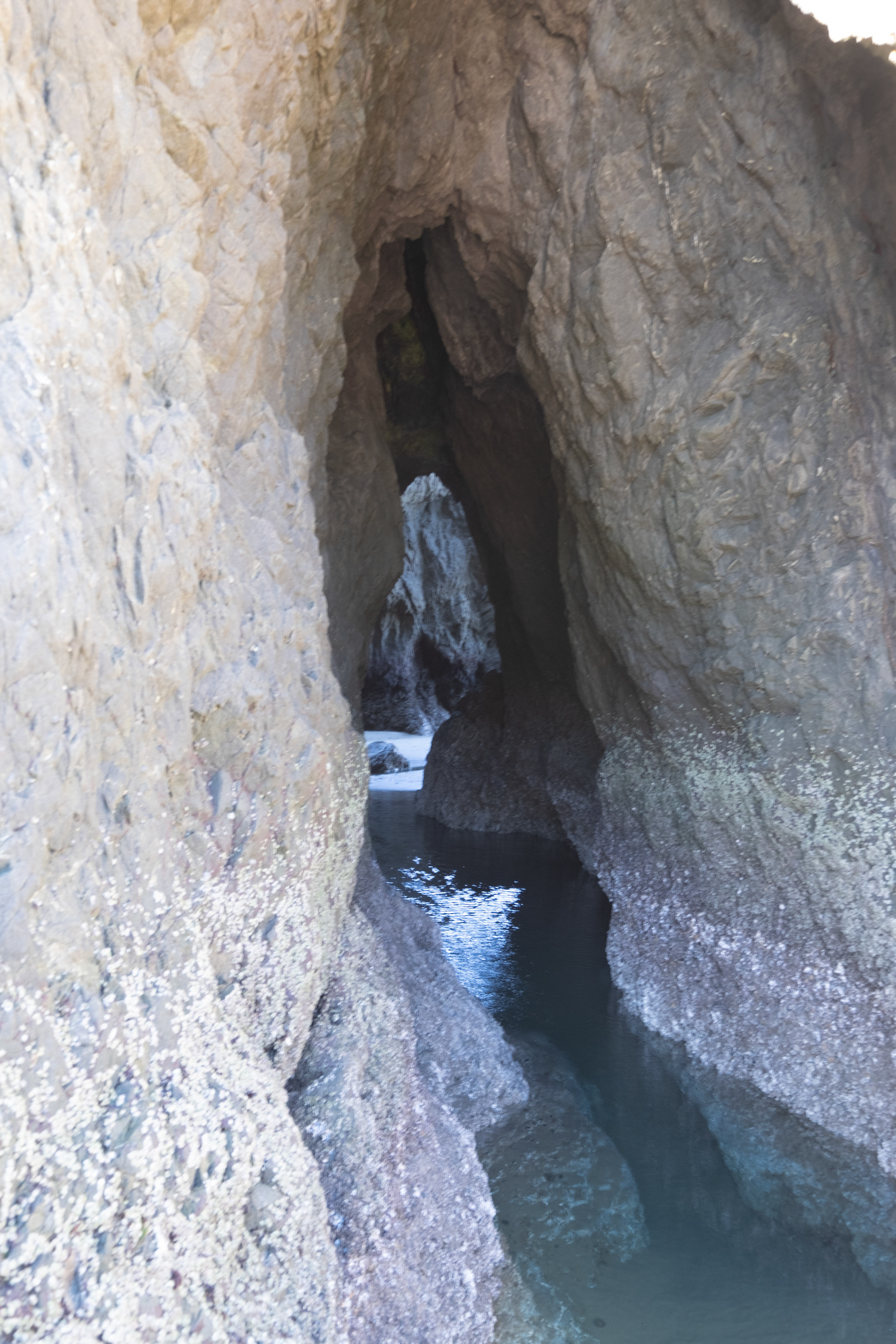 Face Rock State Park, Bandon, OR
