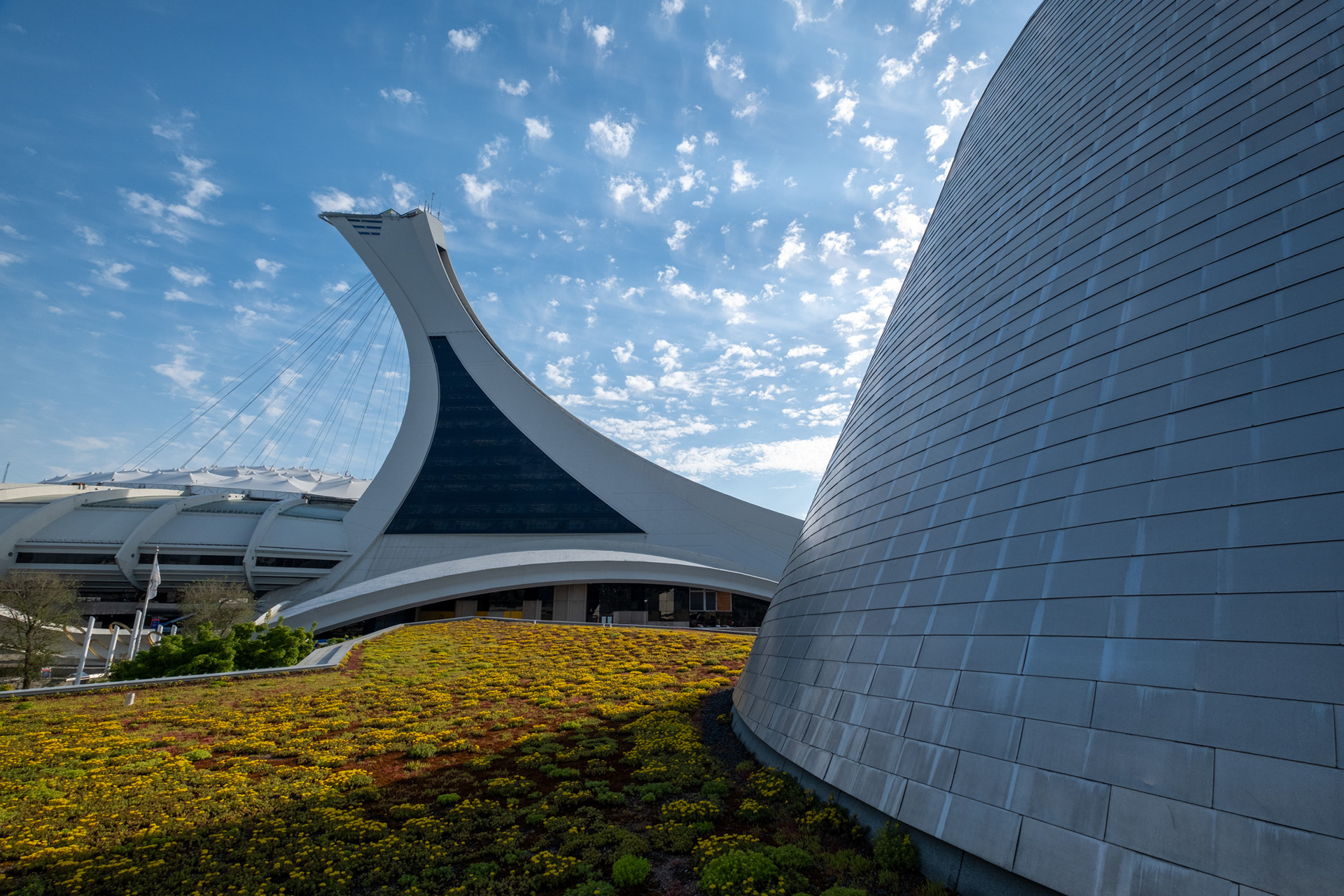 The Montreal Tower -