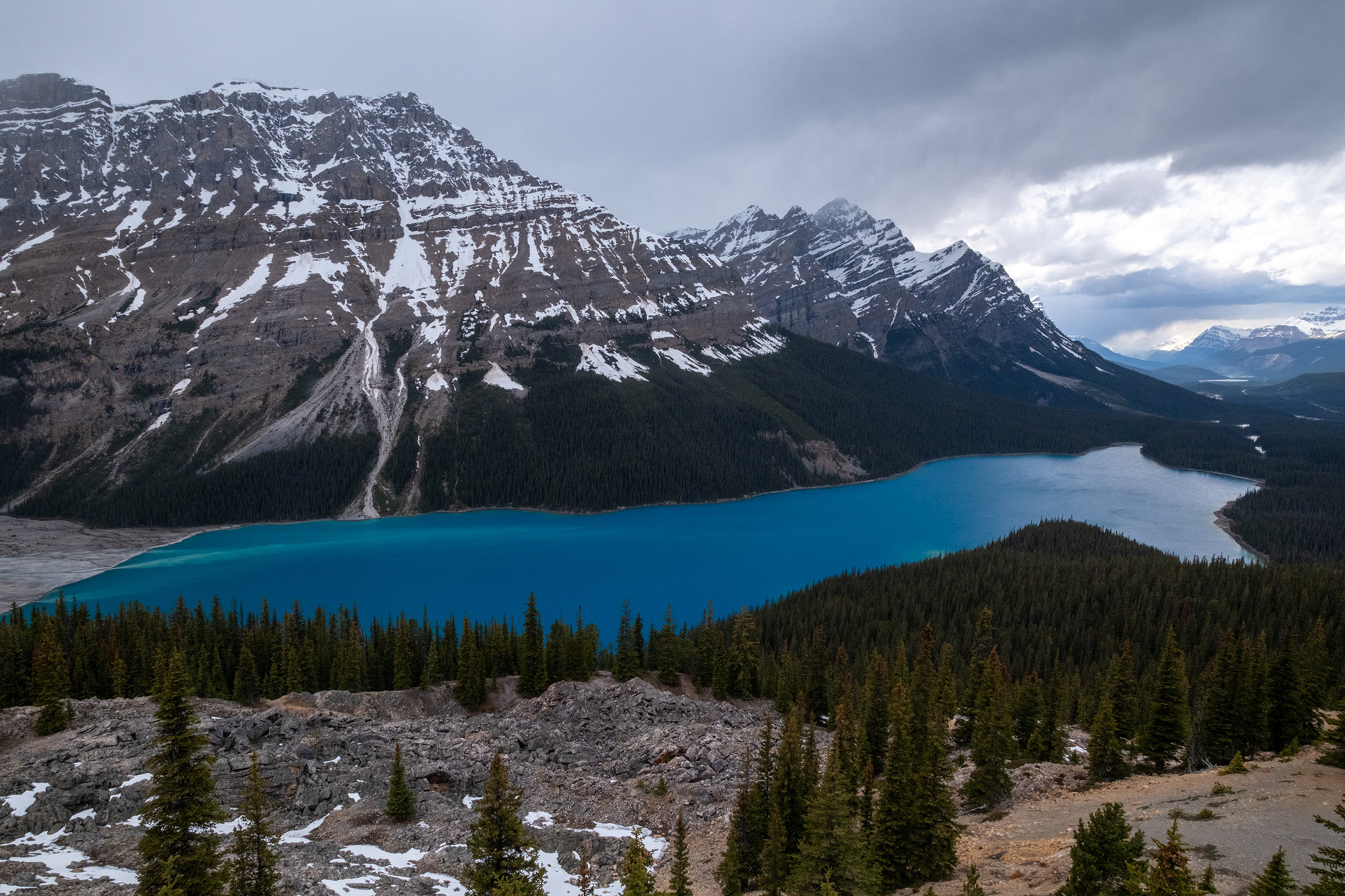 Lago Peyto