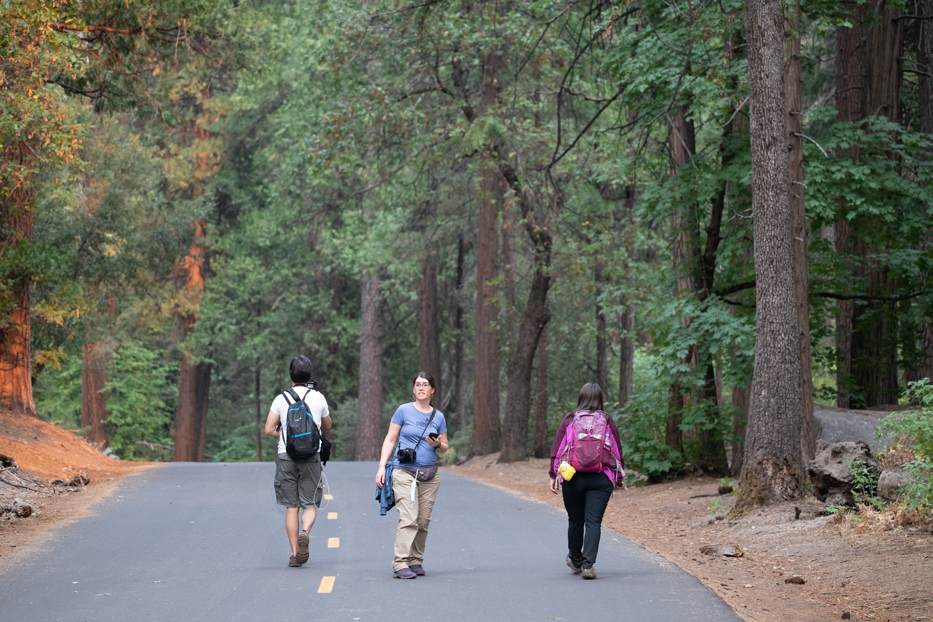 Yosemite - trillo al Mirror Lake