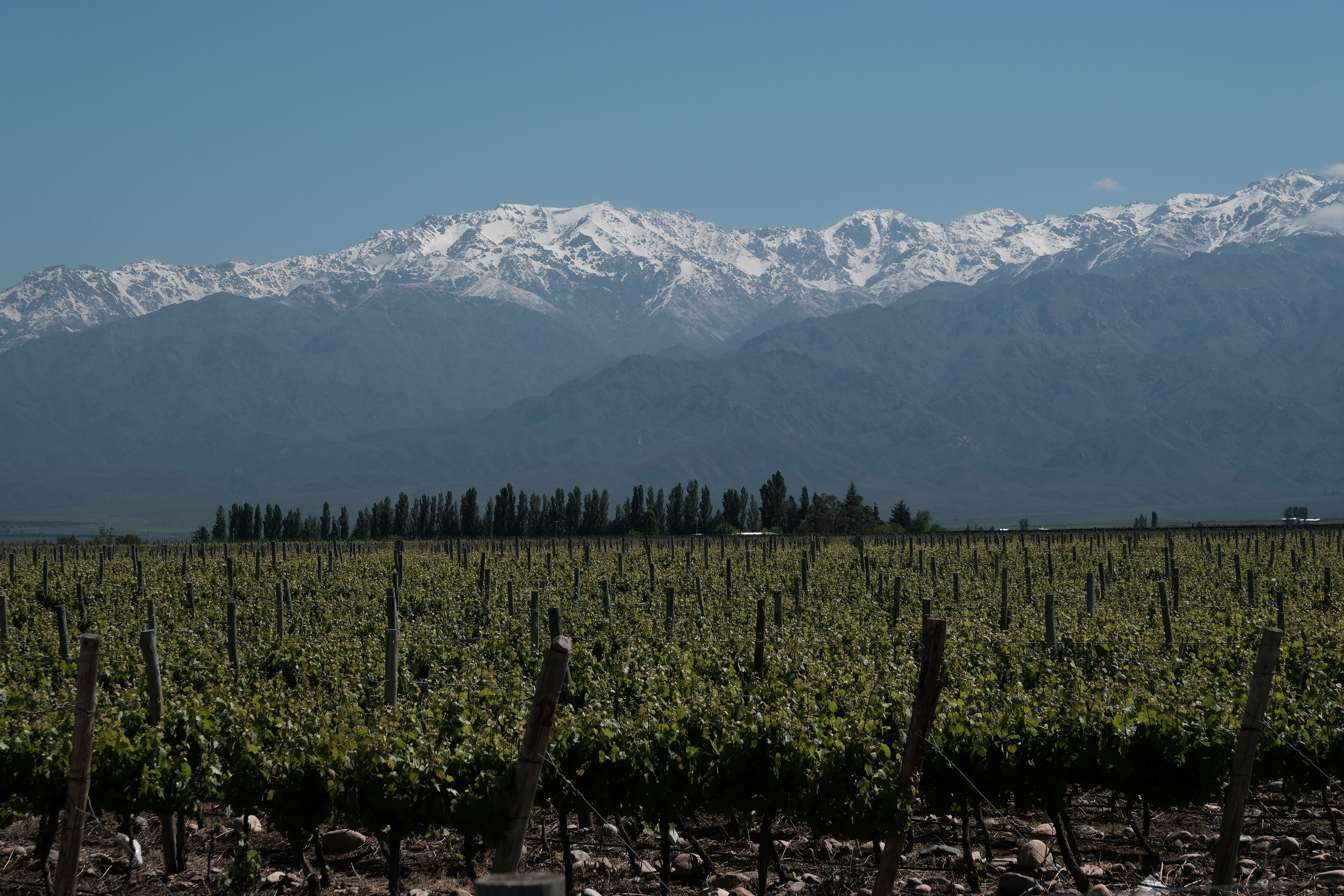Tunuyan - Valle del Uco