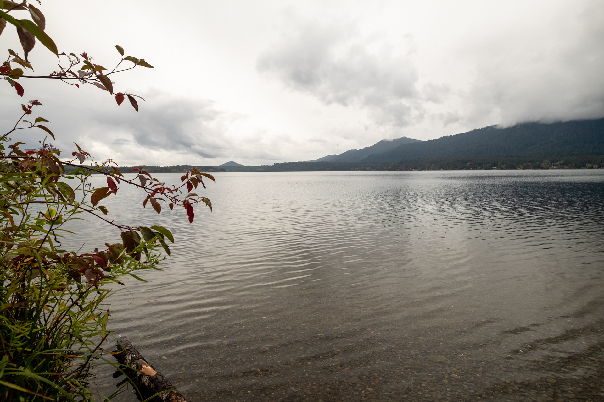 Lago Quinault - Olympic National Park, WA