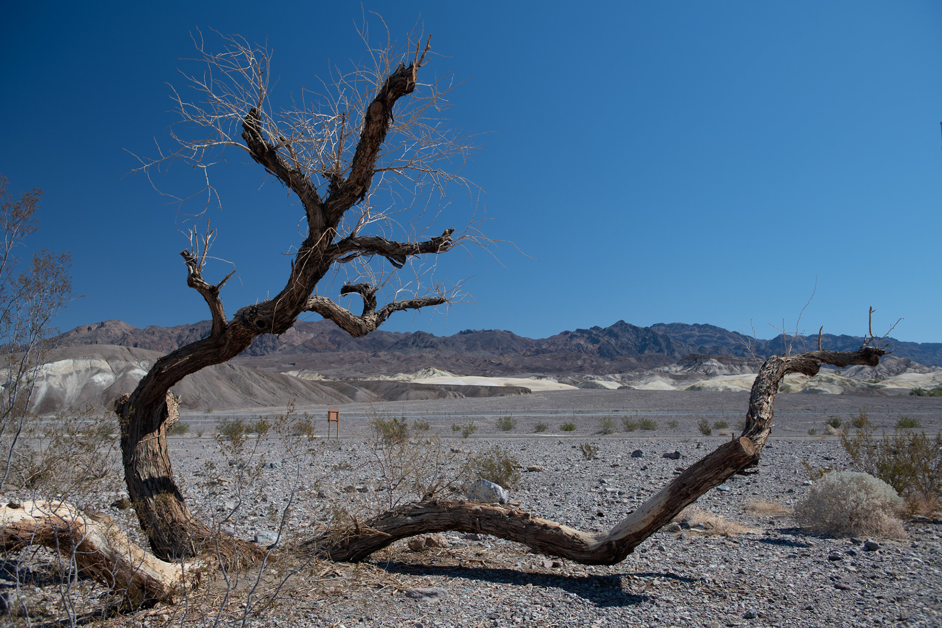 Death Valley - Valle de la Muerte