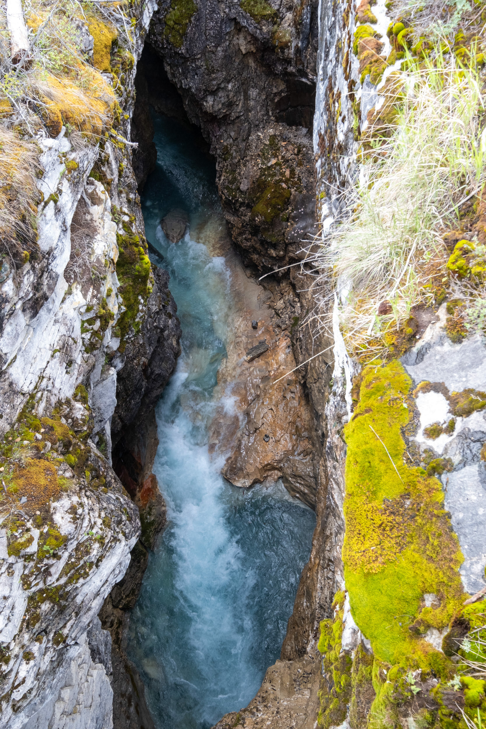 Marble Canyon (cañón) - Kootenai Nat. Park