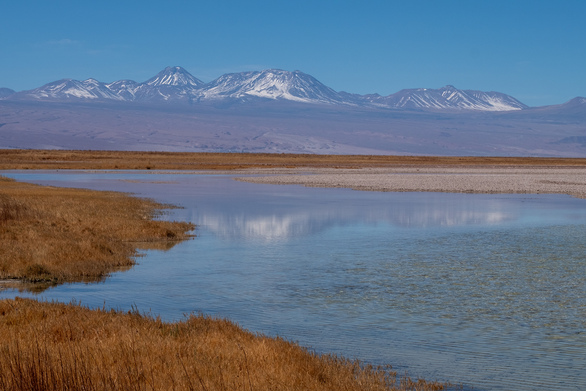 Laguna Cejar