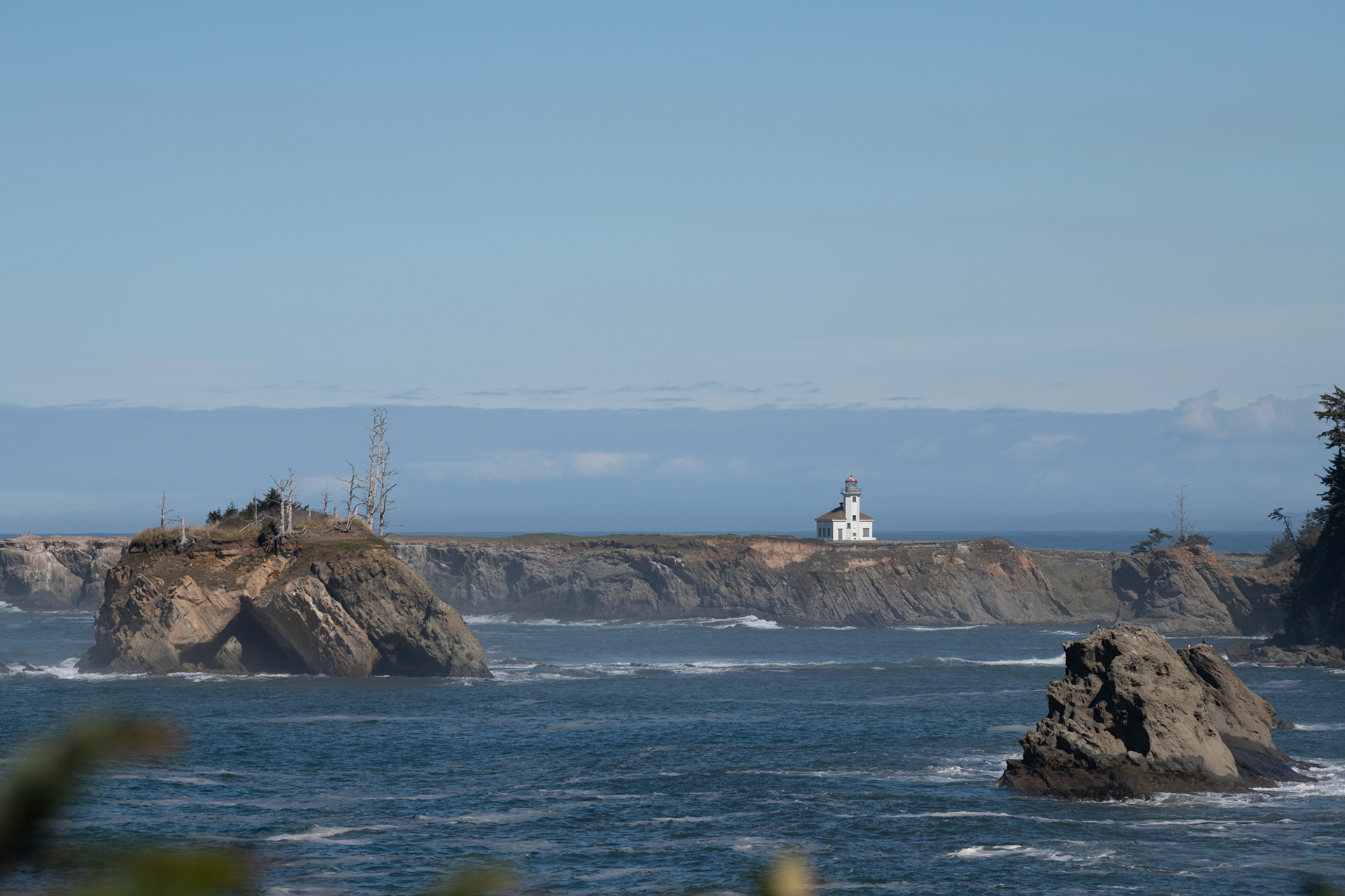 Cape Arago State Park
