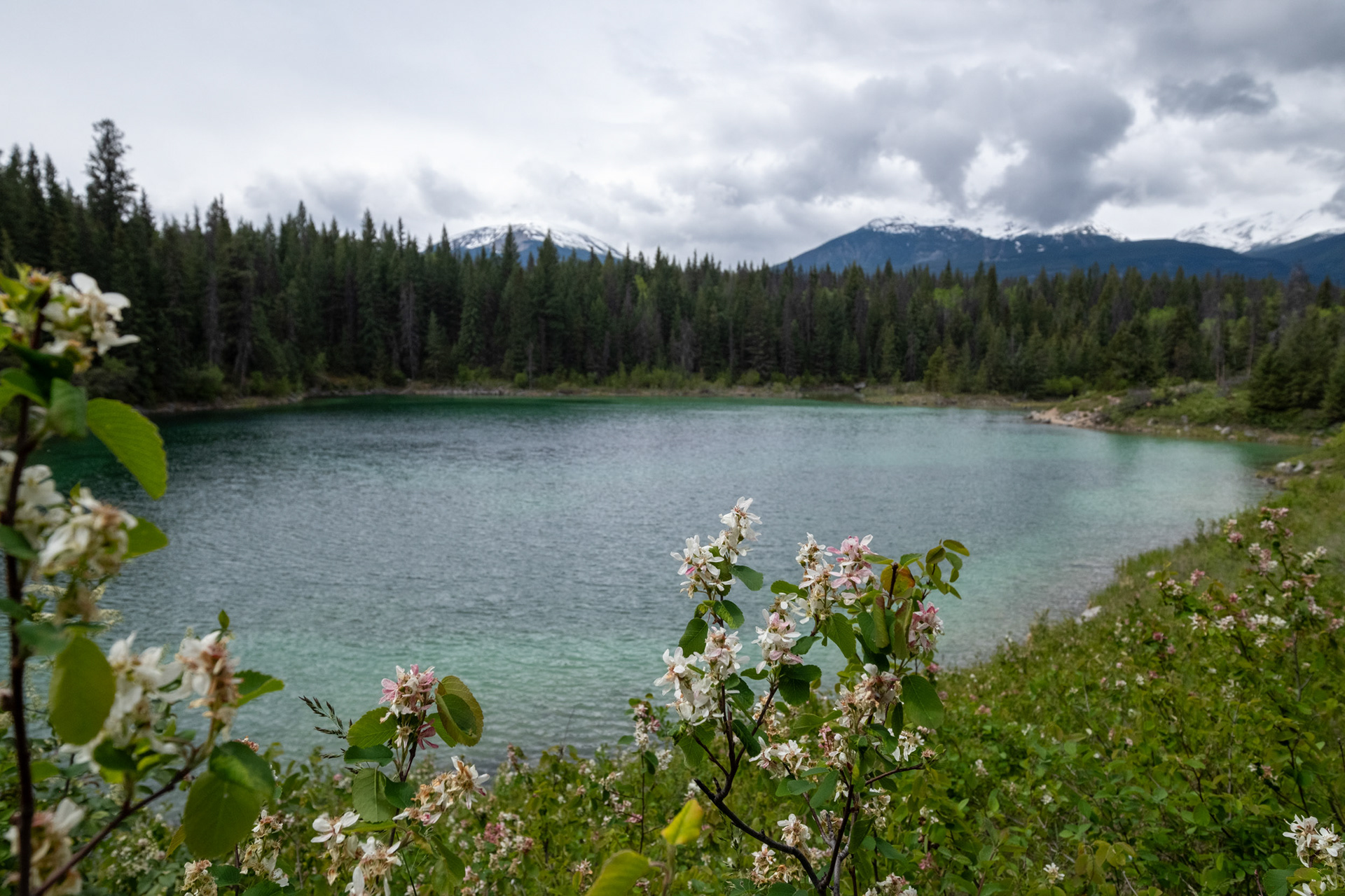Valle de los 5 lagos - Lago 4