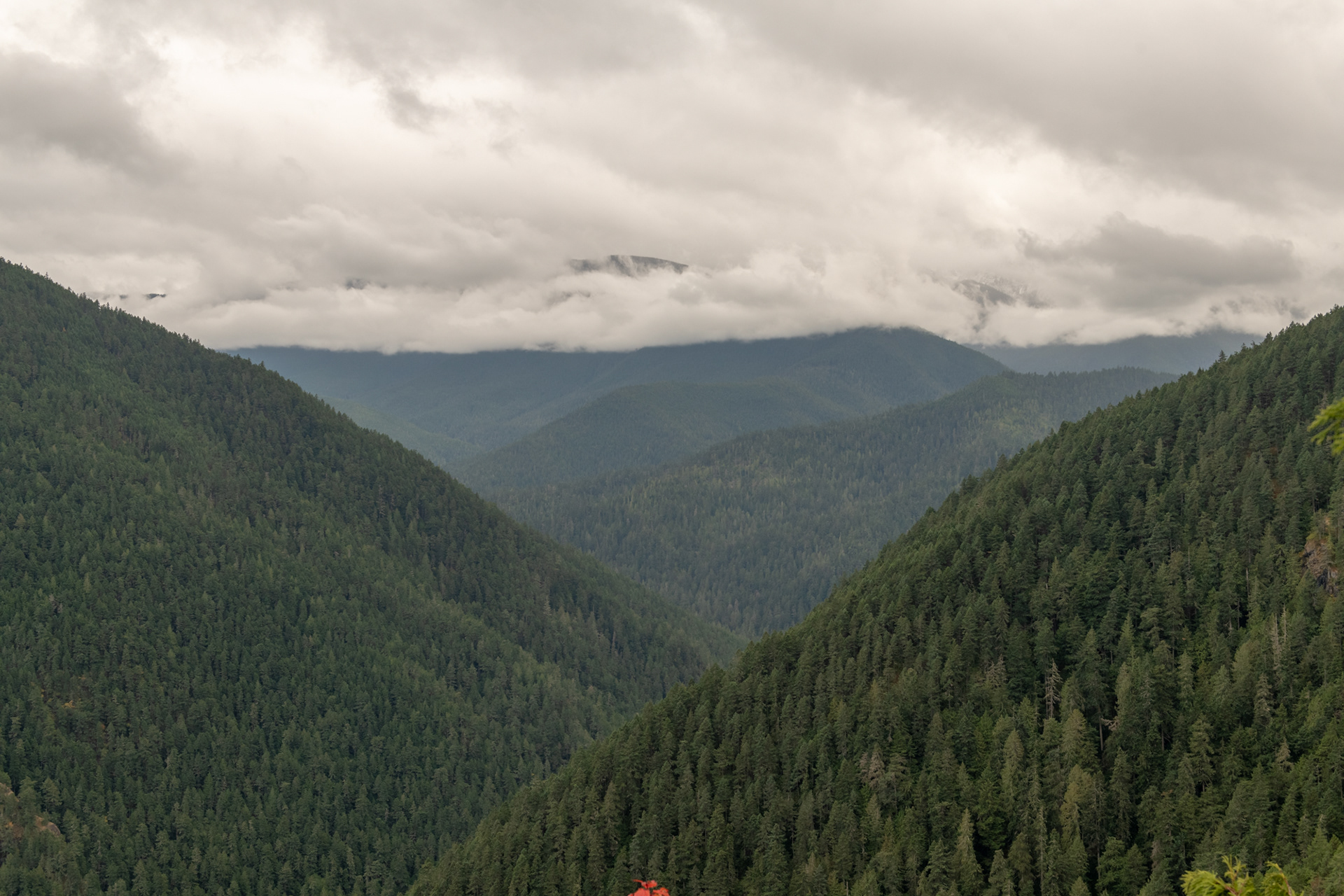 Olympic Highway, camino a Port Angeles, WA