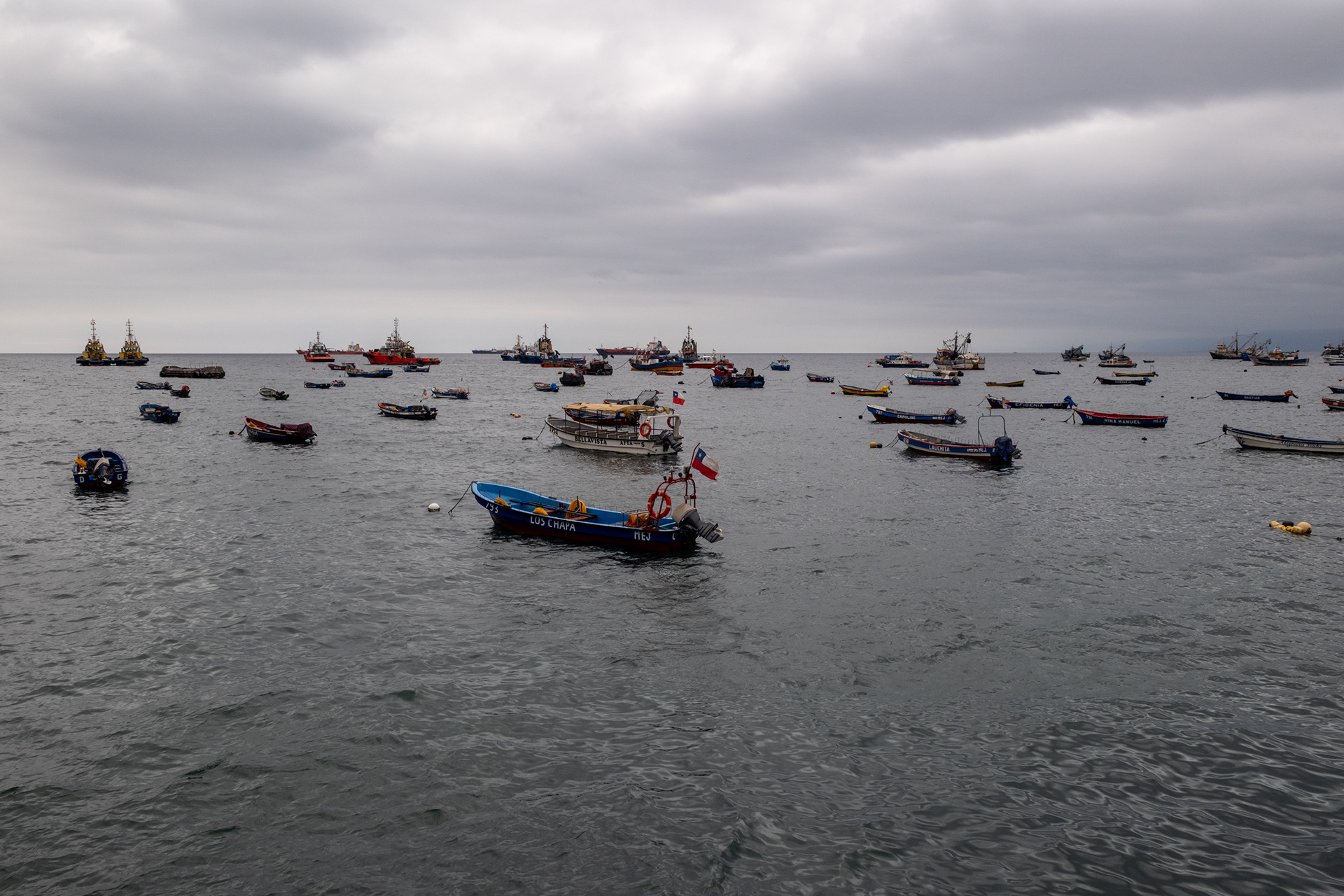Mejillones