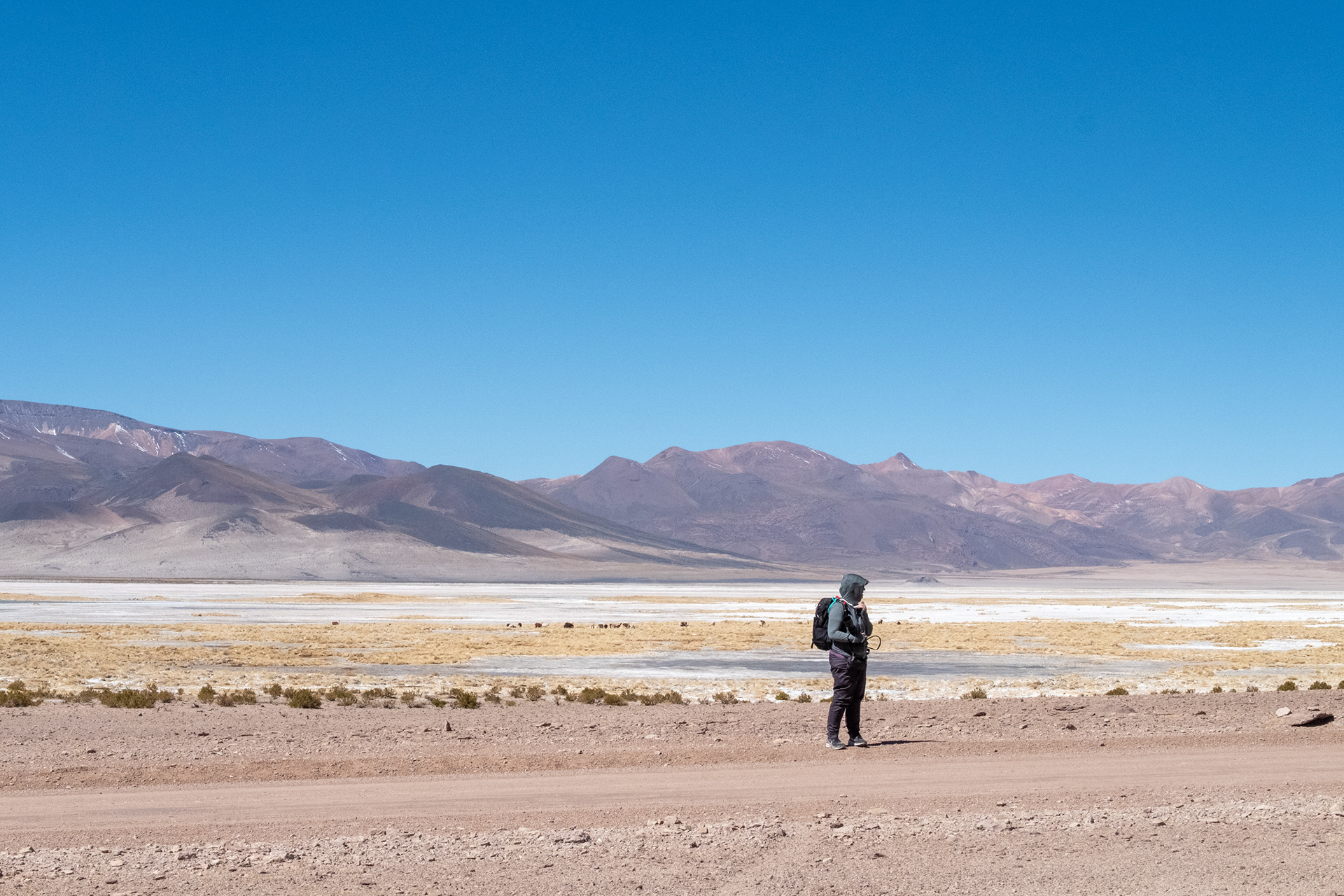 Salar del Huasco