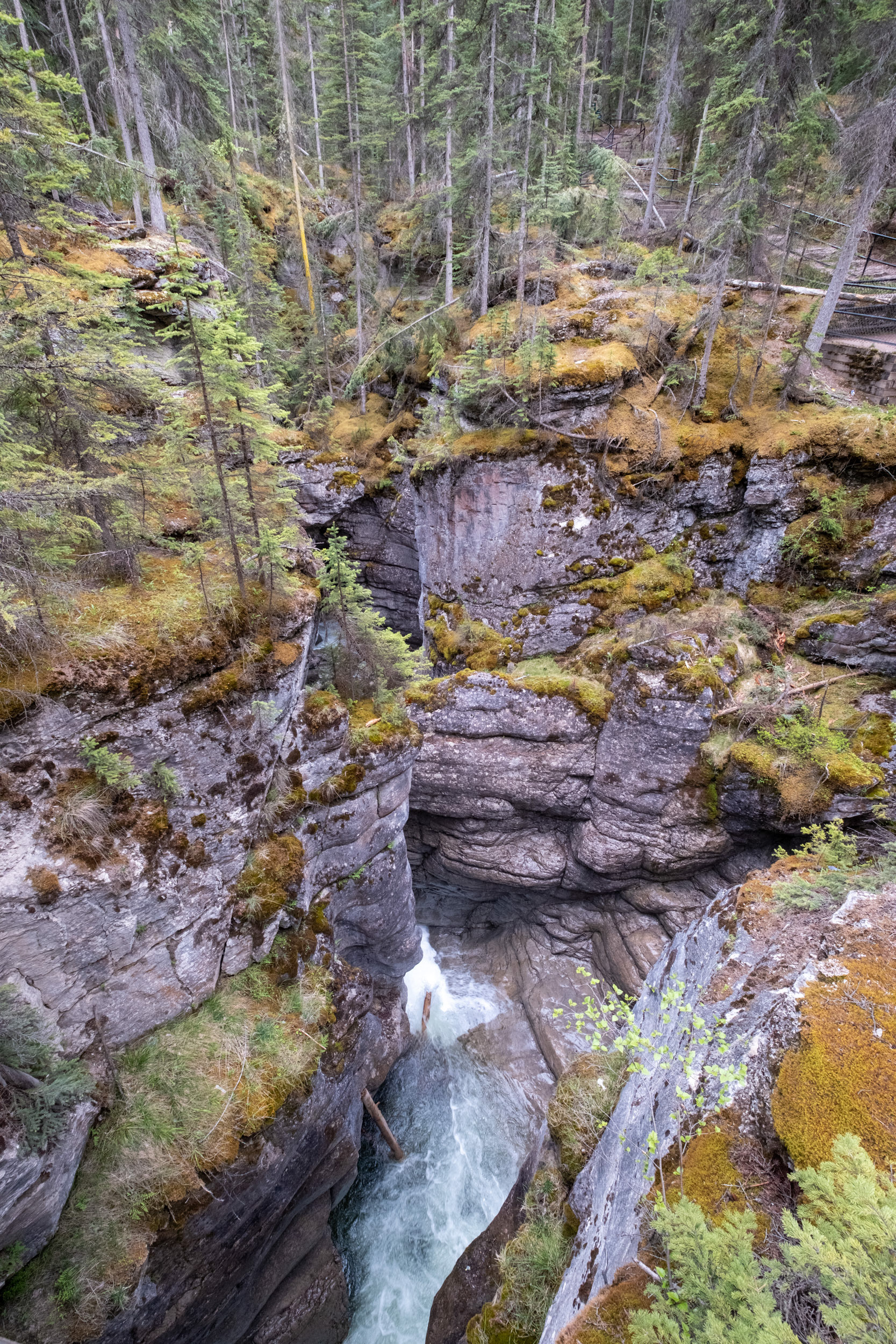 Cañón Maligne (Maligne canyon)