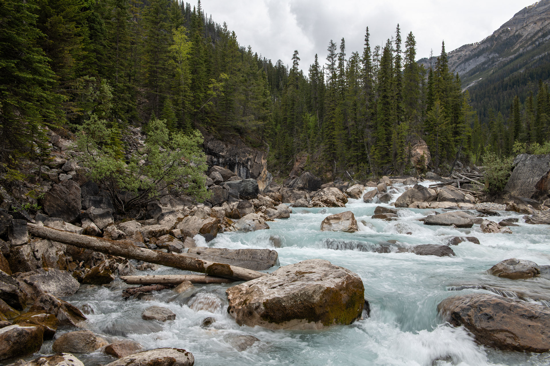 Ríos Yoho y Kicking Horse