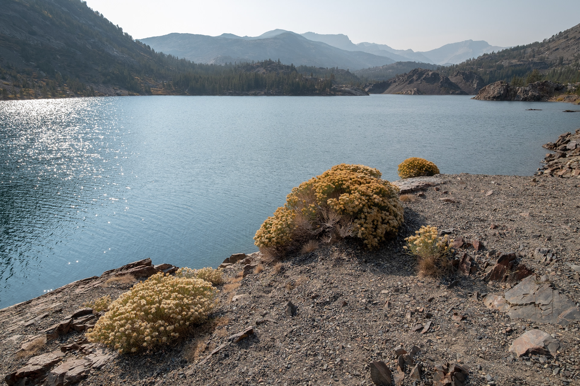 Yosemite - Tioga Lake