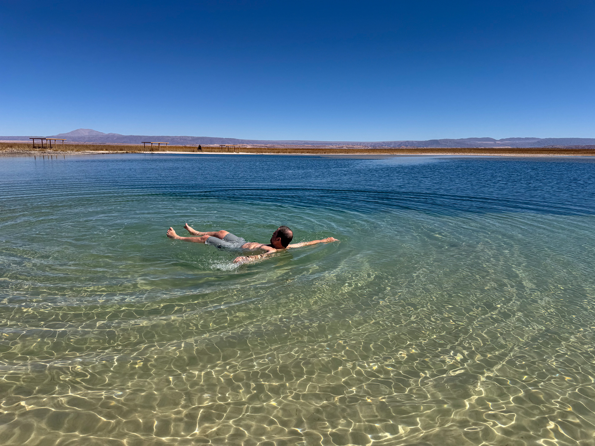 Experiencias de baño gelido en Laguna Cejar