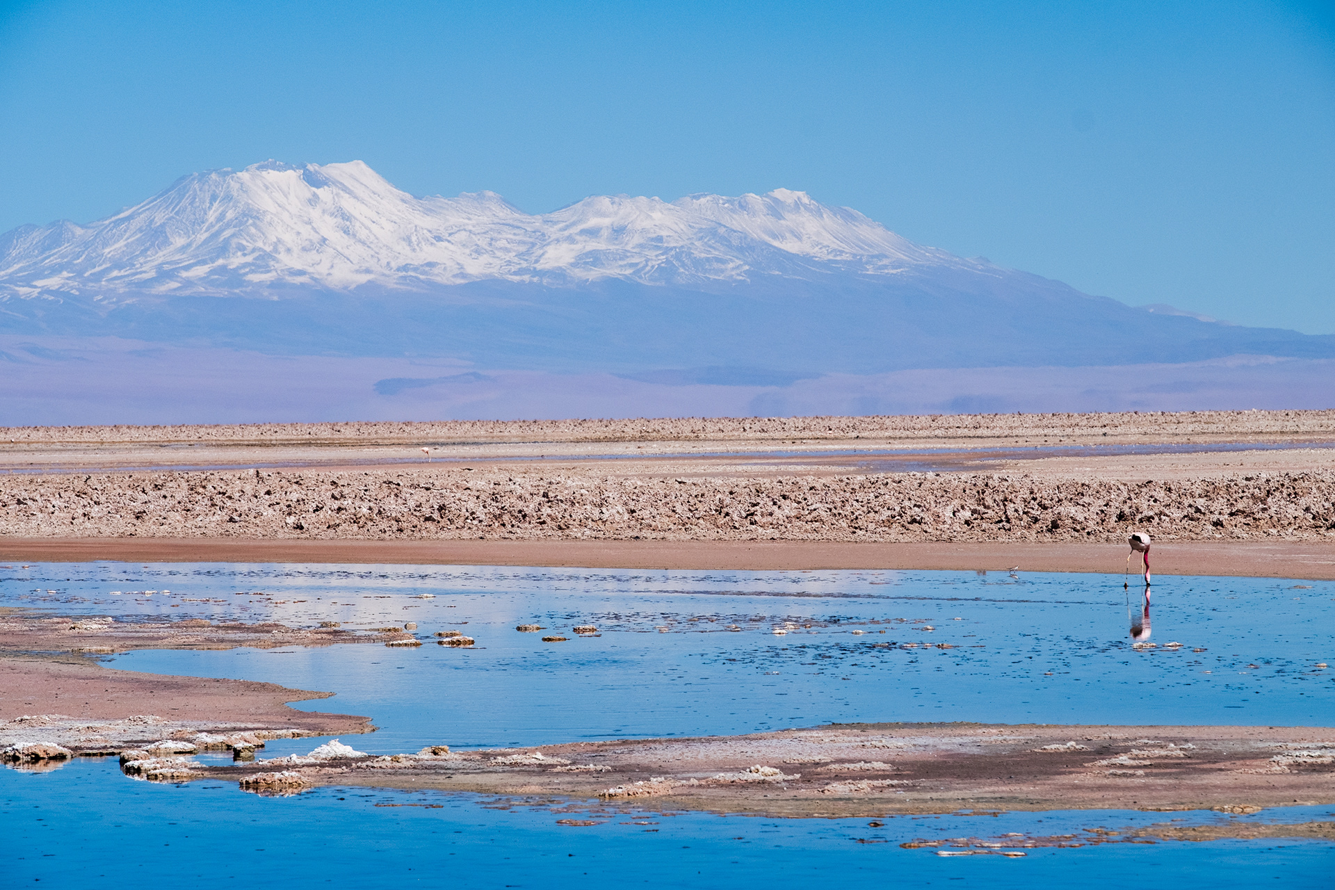 Laguna Chaxa