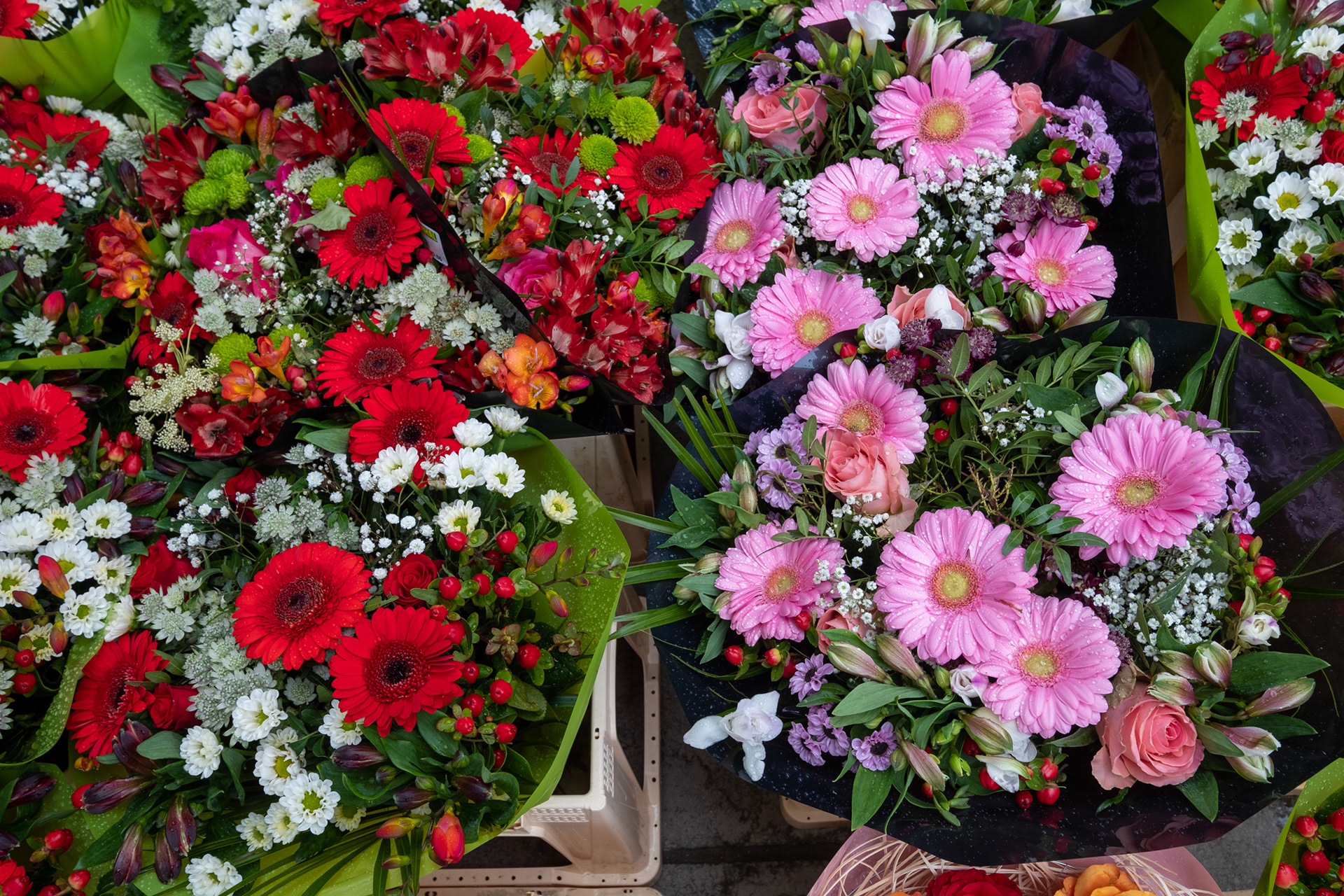 Plaza Kouter y mercado de flores (domingo)