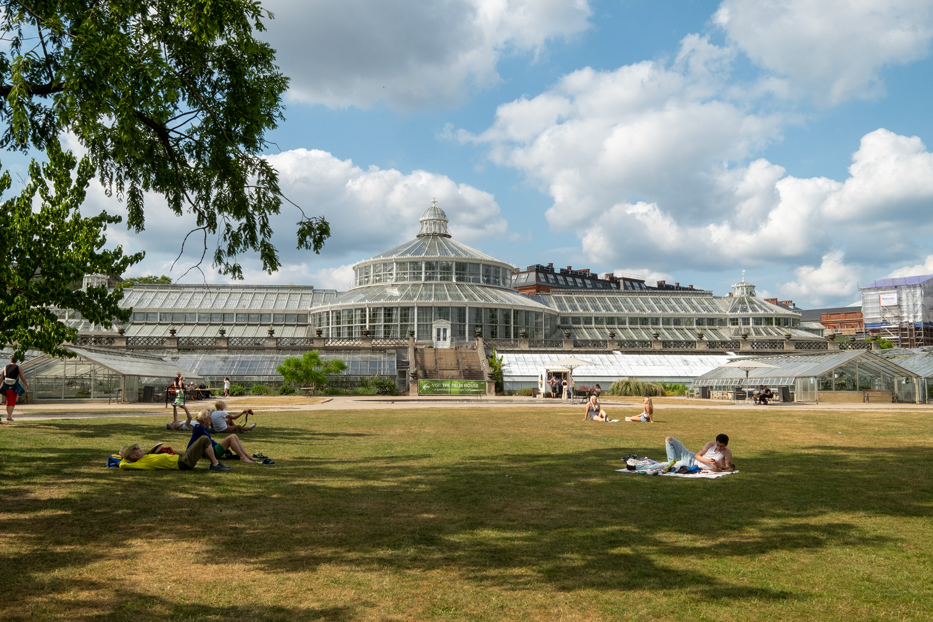 Copenhague - Jardín botánico - casa de palmeras