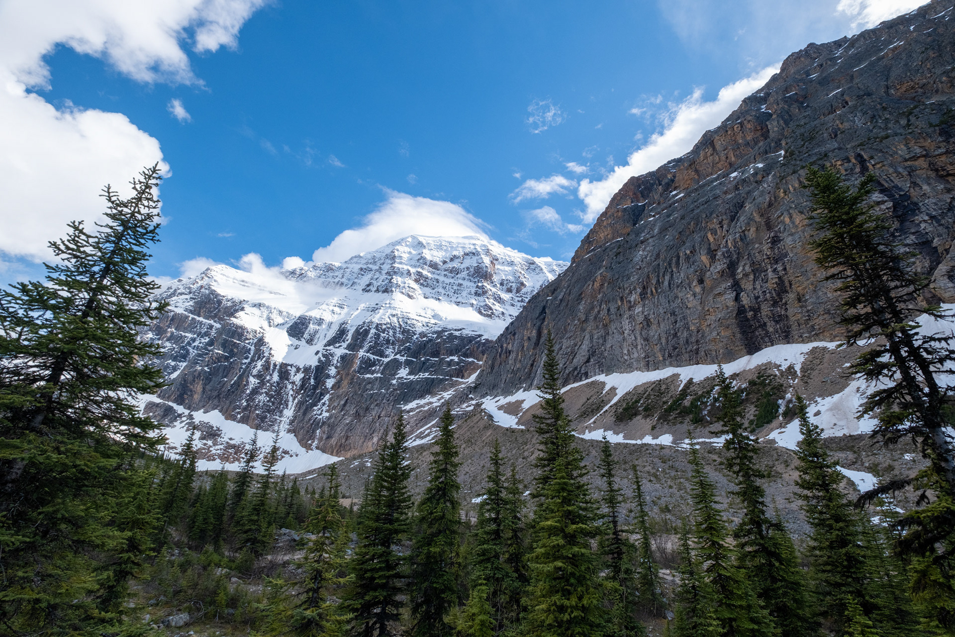 Monte Edith Cavell