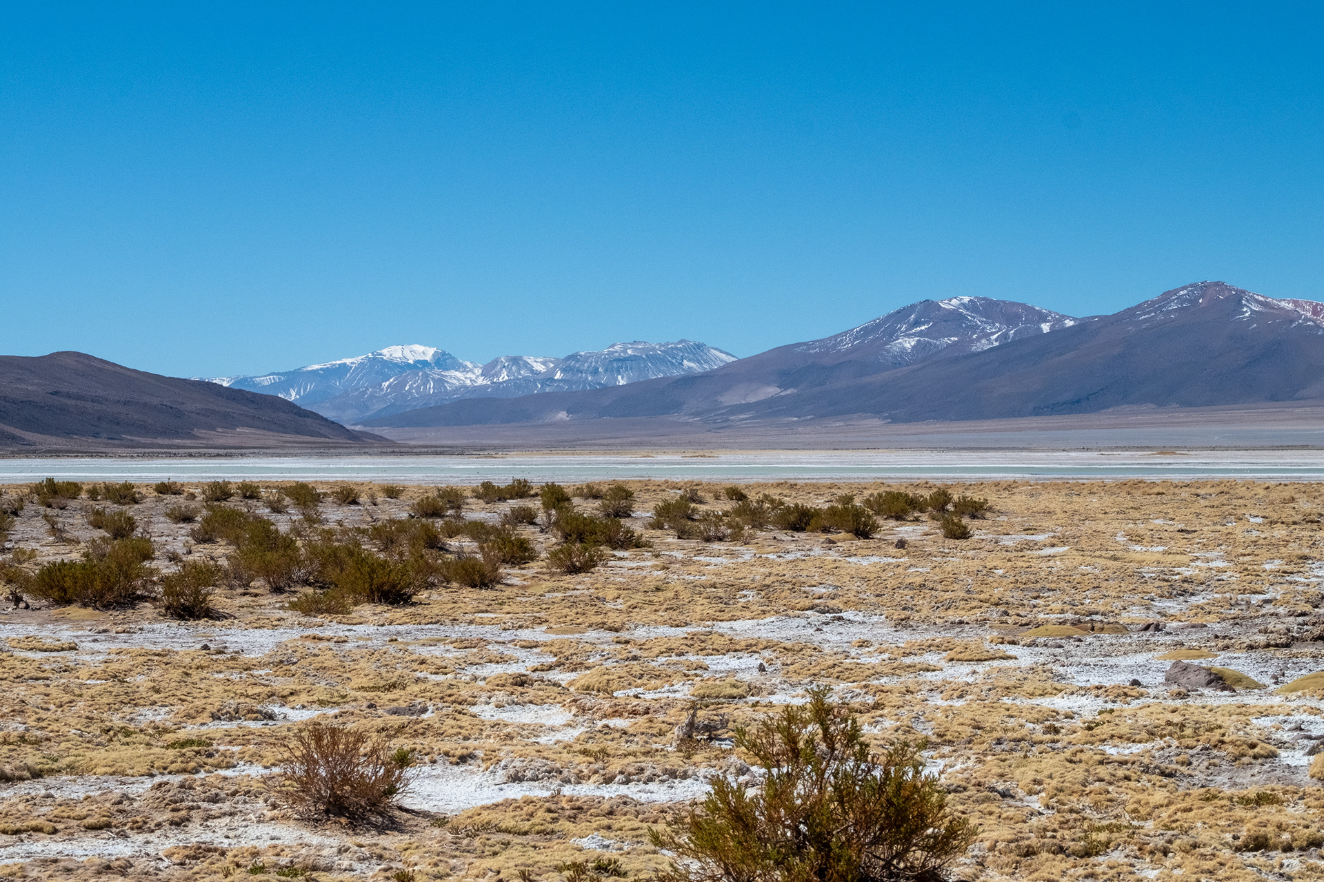 Salar del Huasco