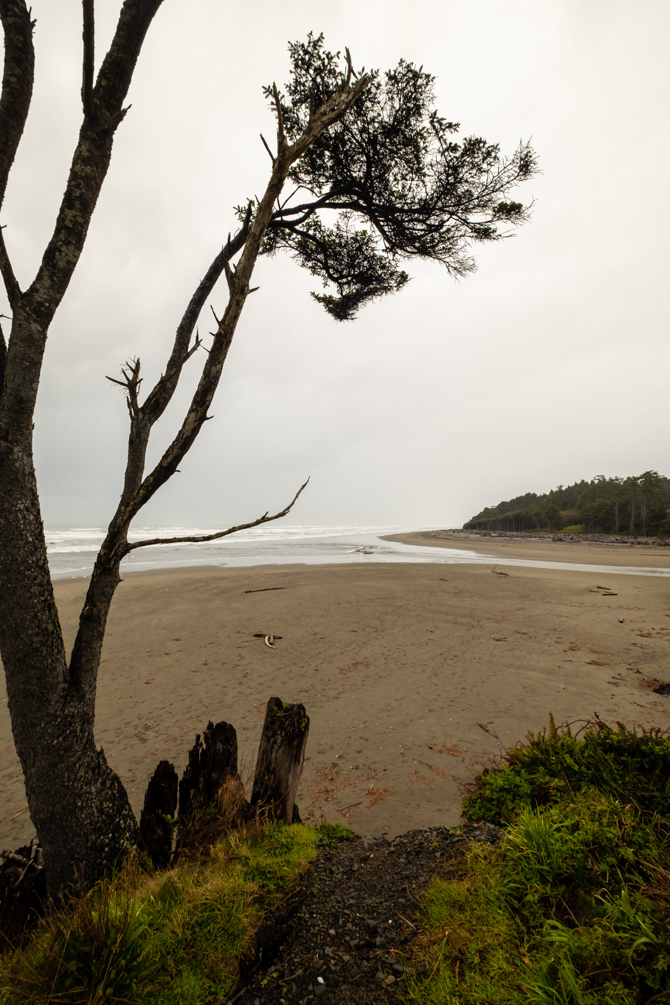 Kalaloch - Kalaloch Rocks - Kalaloch creek