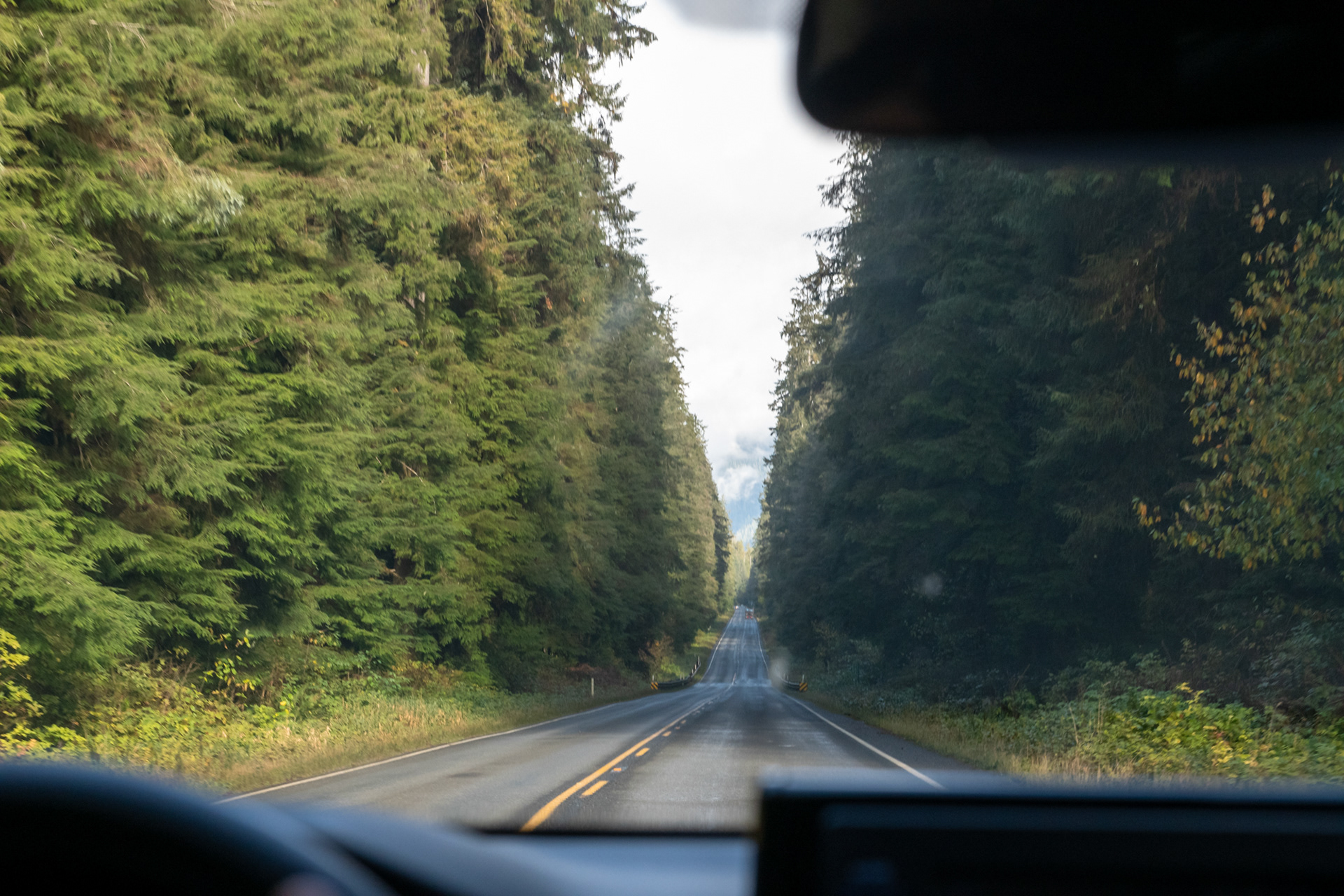 Olympic Highway - Olympic National Park, WA