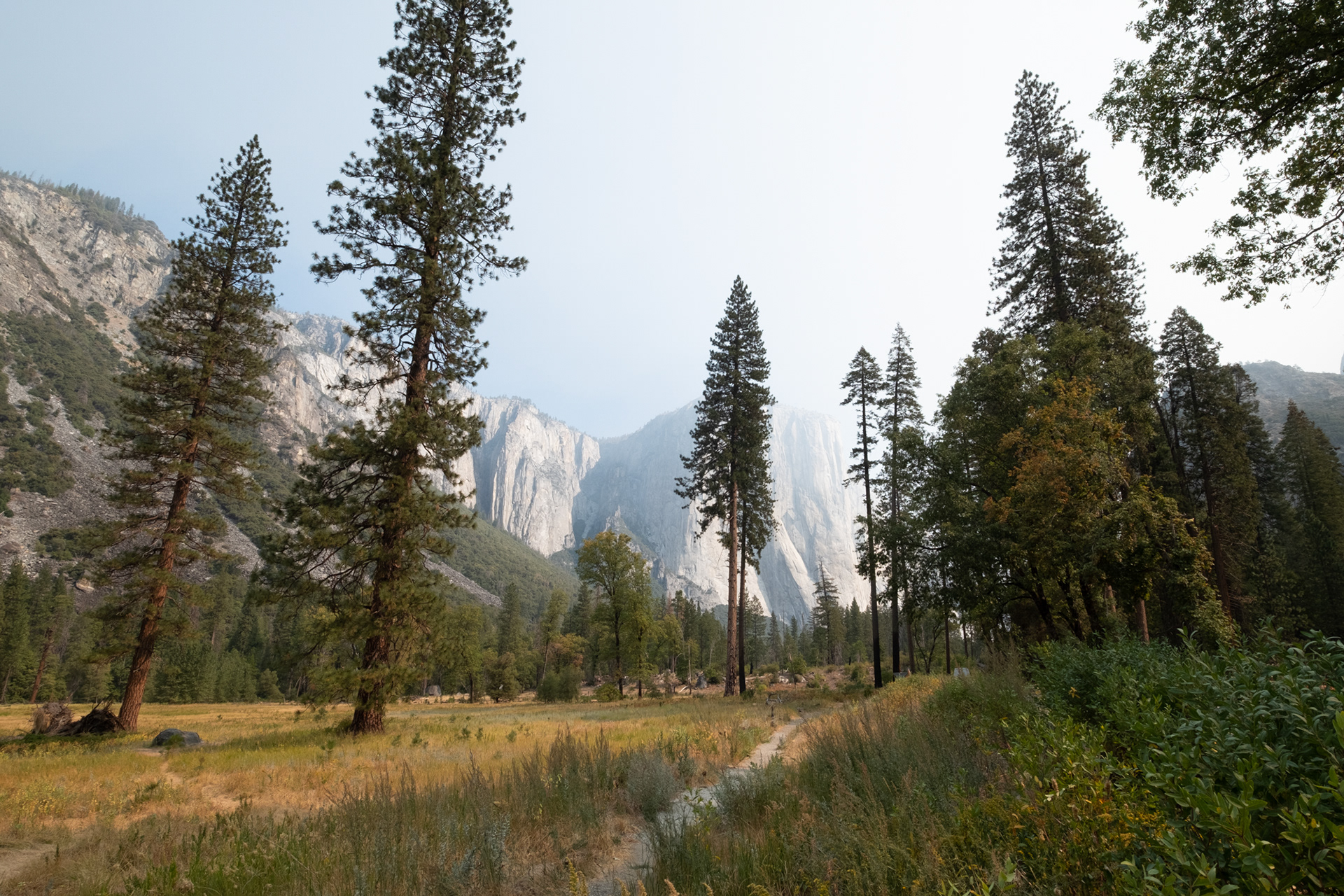 Parque nacional Yosemite
