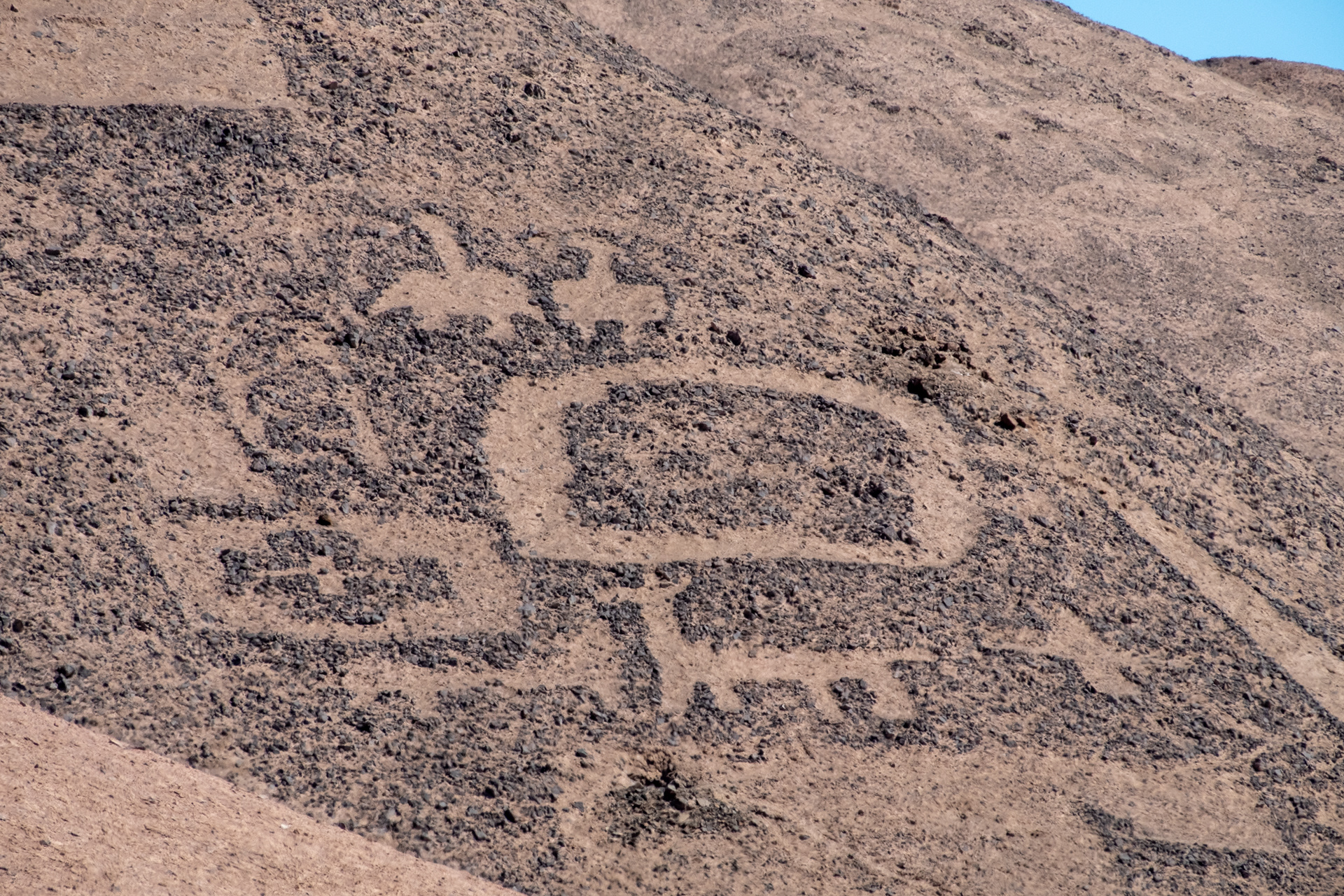 Geoglifos de Pintados