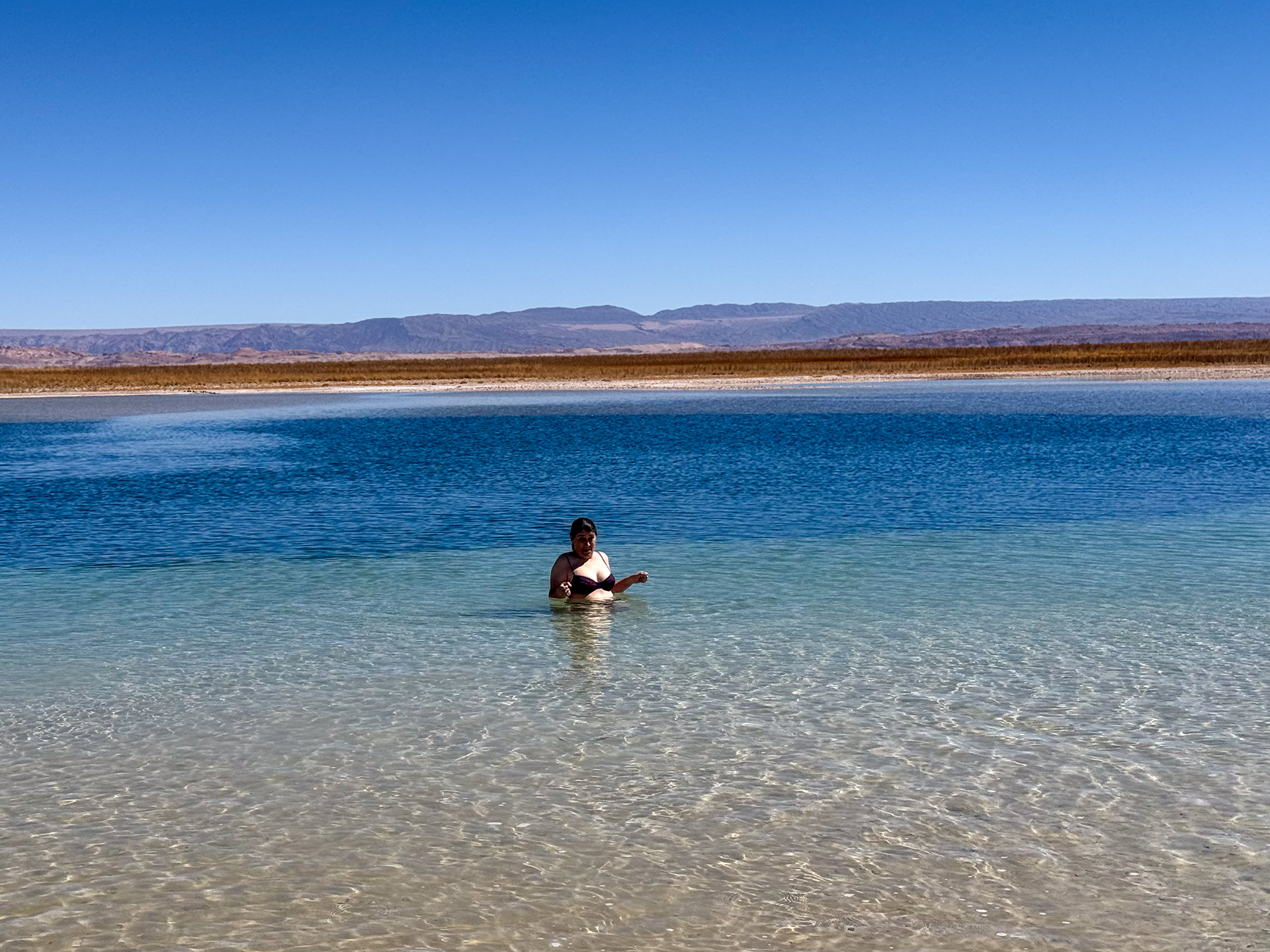 Experiencias de baño gelido en Laguna Cejar