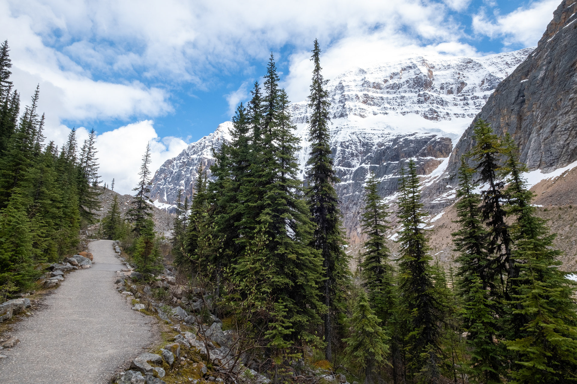 Trillo al Cavell pond (estanque) - Monte Edith Cavell