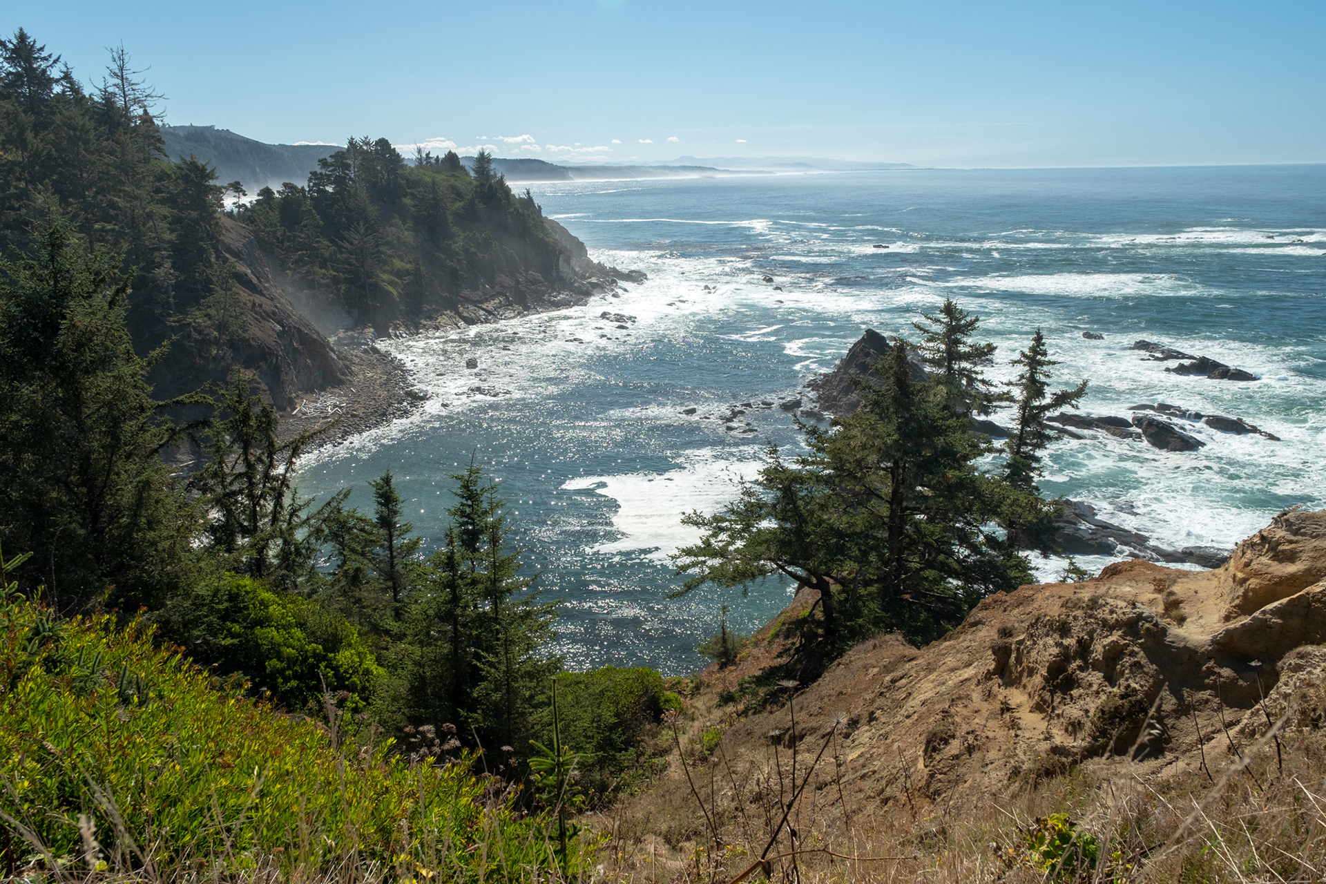 Cape Arago State Park