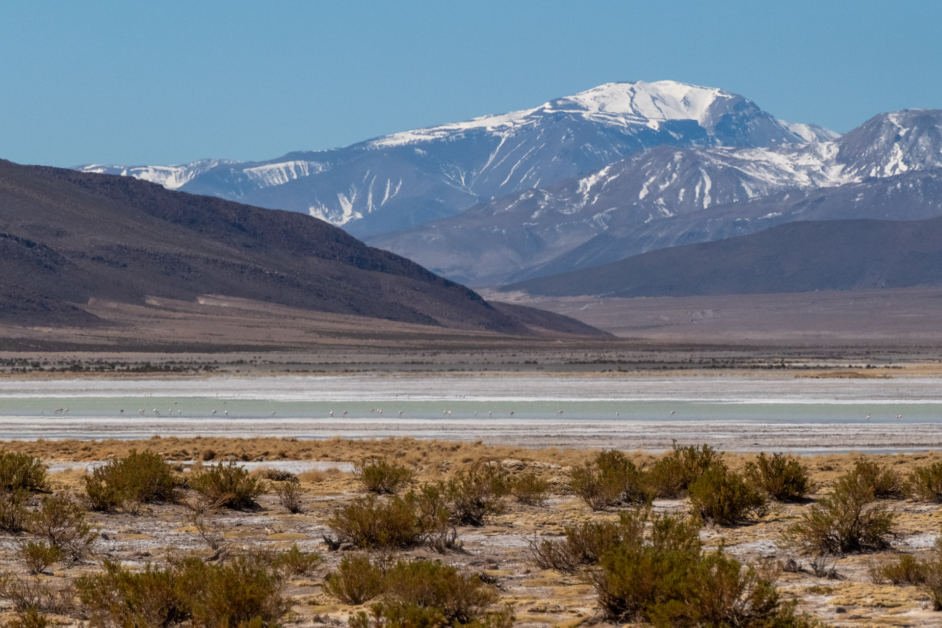 Salar del Huasco